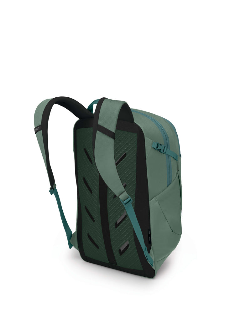 Pine Leaf Green