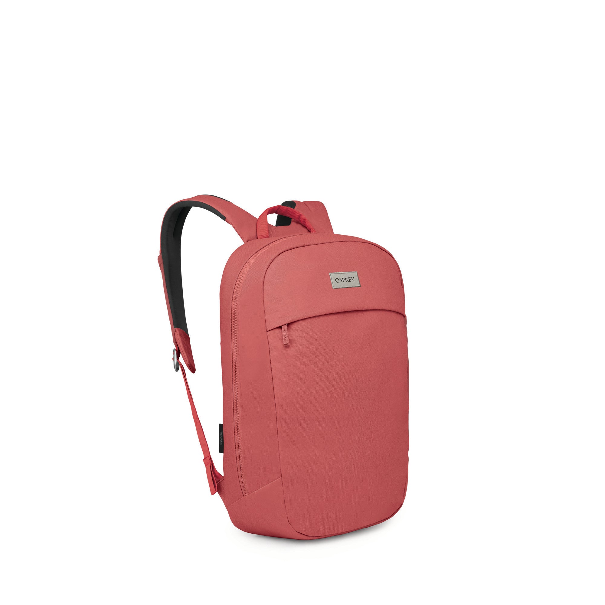 Red Pampas