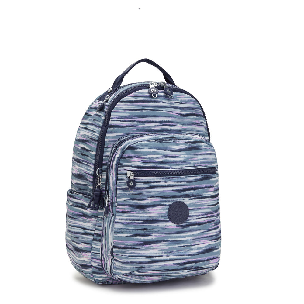 Brush Stripes Print