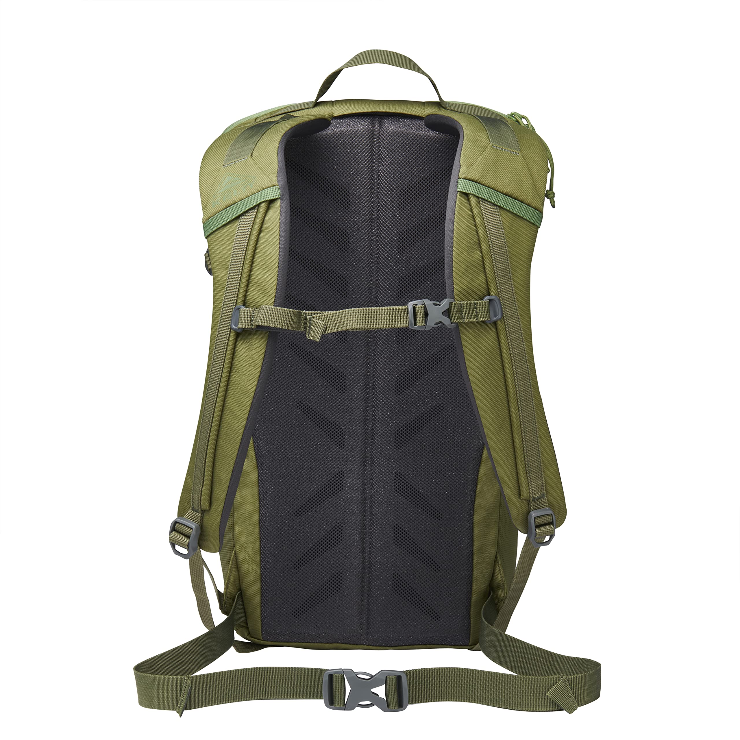 kelty 18 liter backpack Kelty Asher 18L Backpack, Winter Moss/Dill