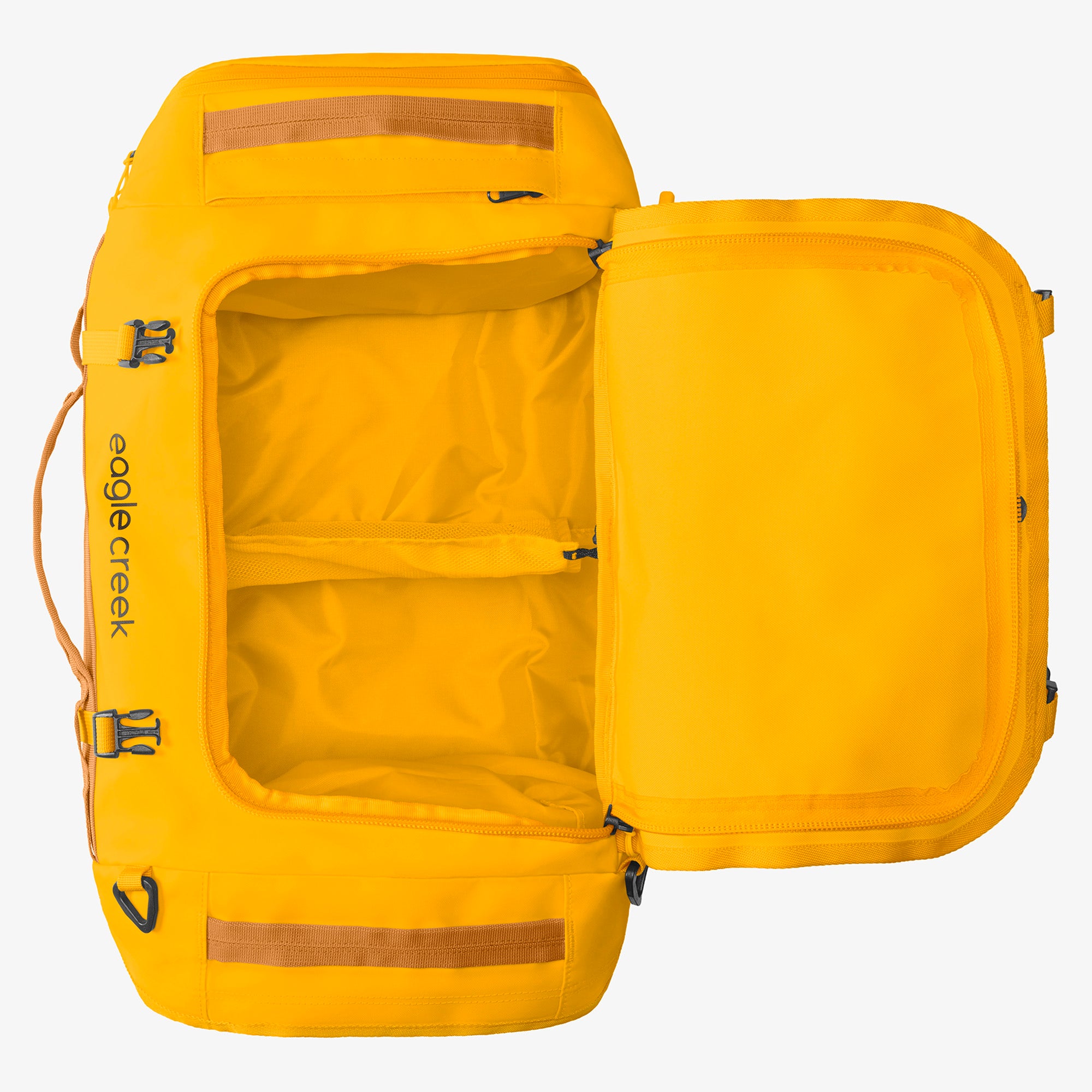 Citrus Orange