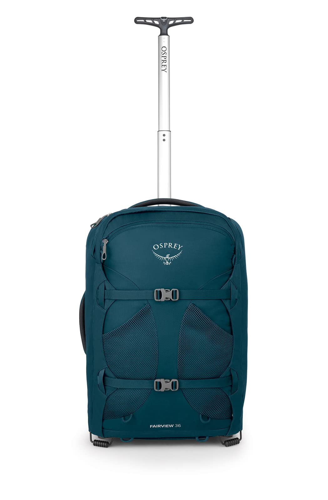 Night Jungle Blue