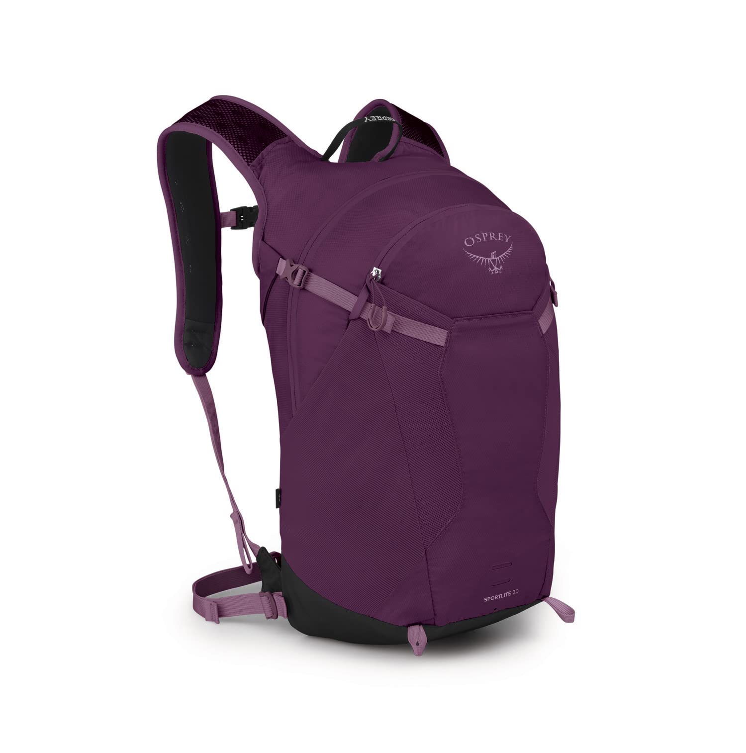 Aubergine Purple