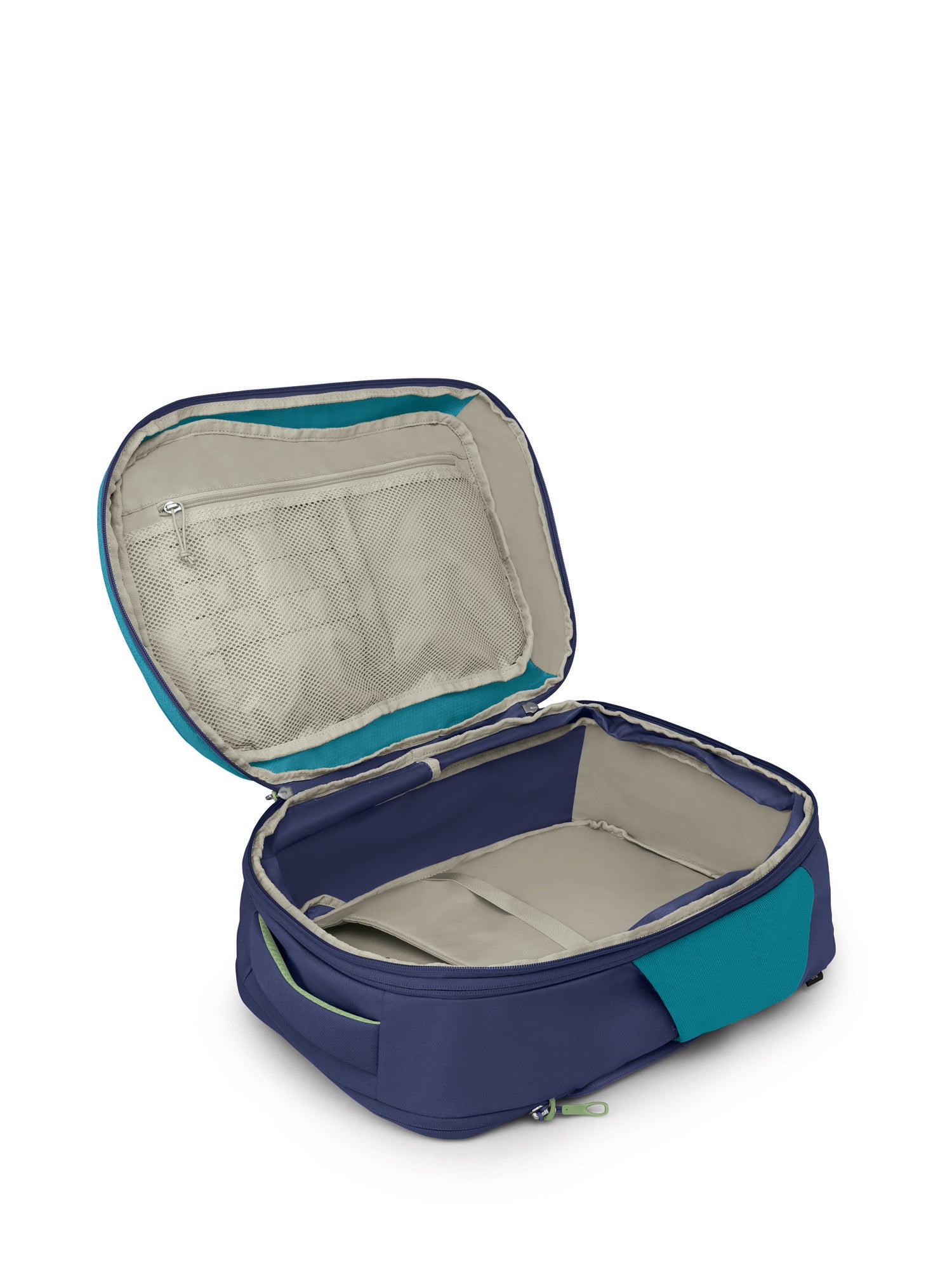 Blue Spikemoss-Alkaline