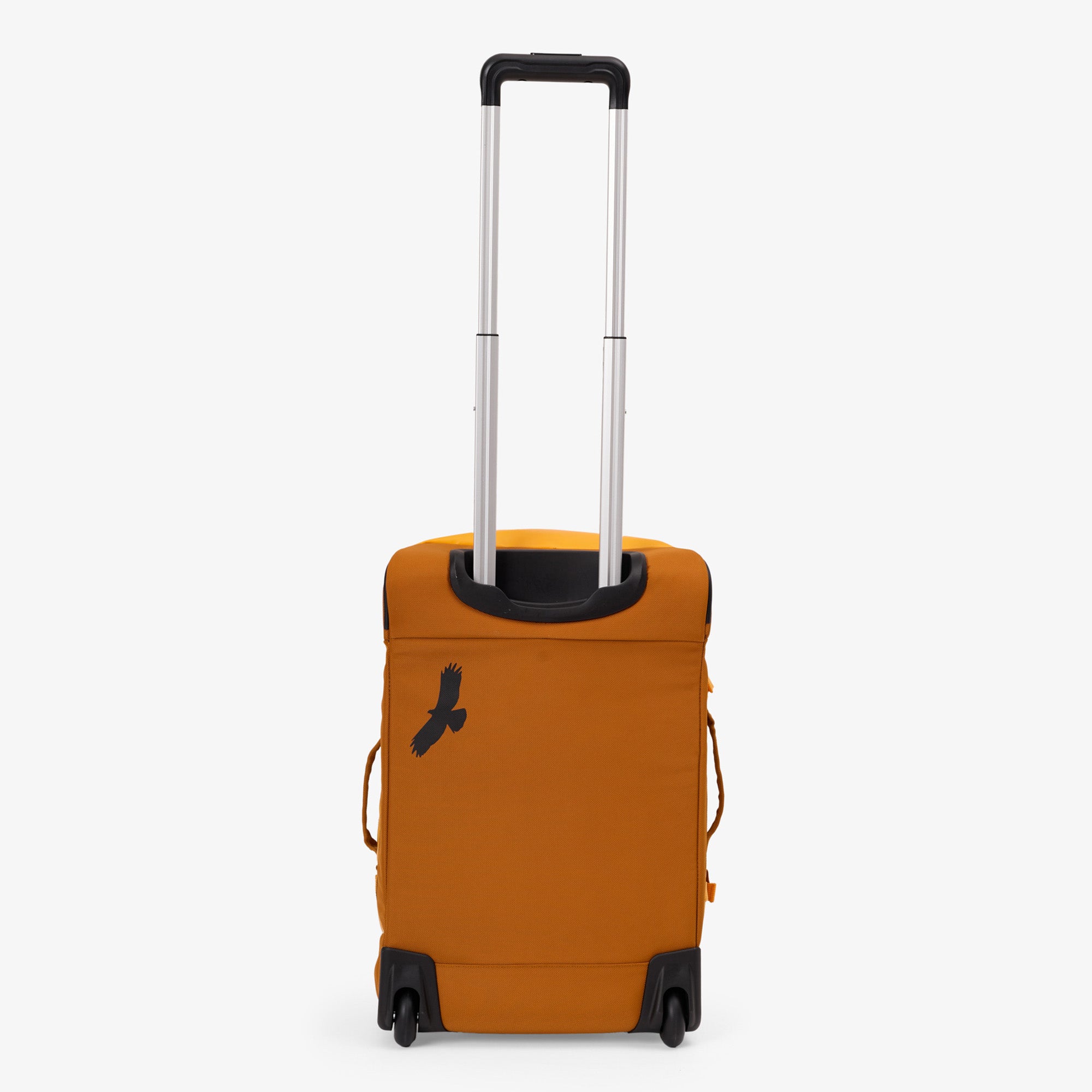 Citrus Orange