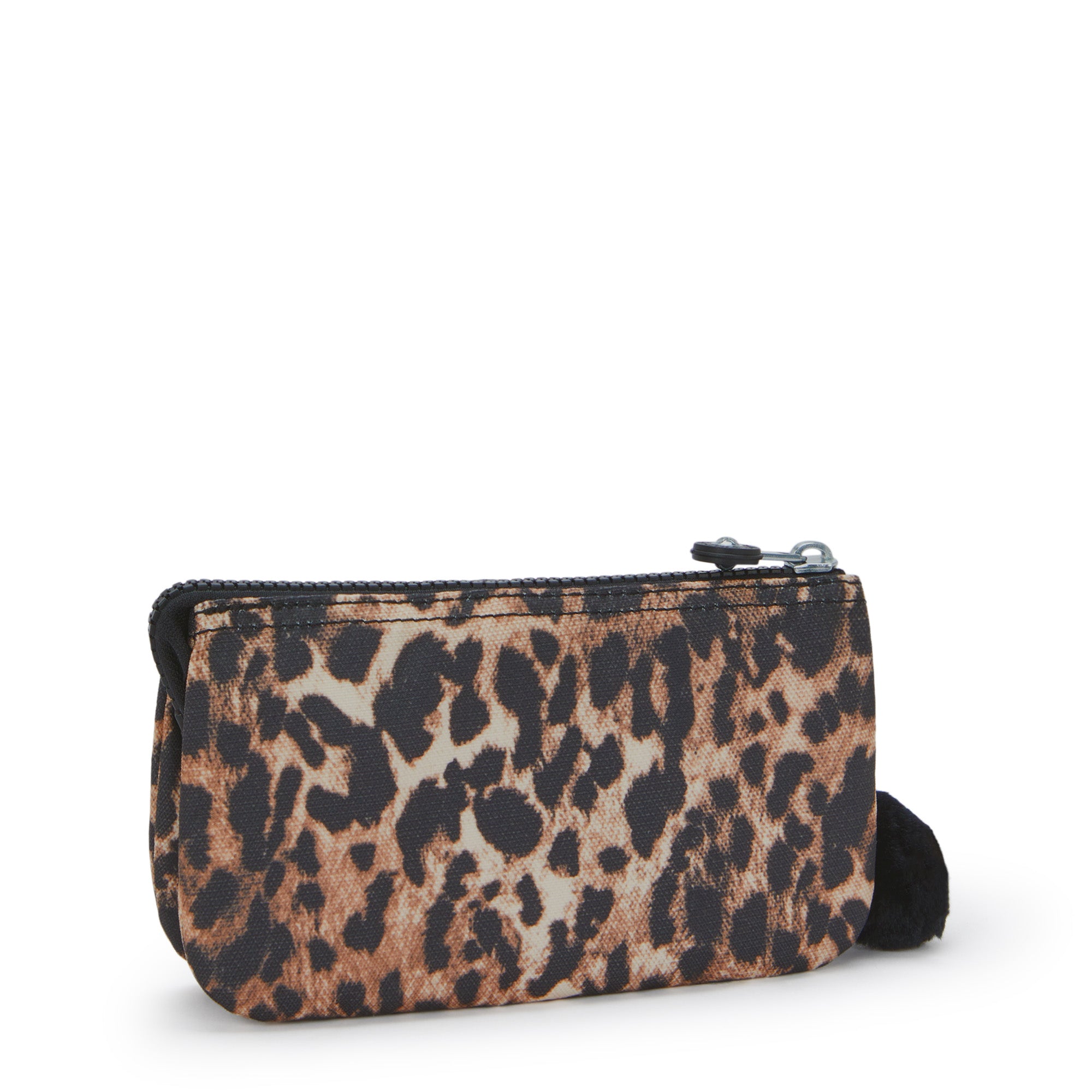 Wild Leopard