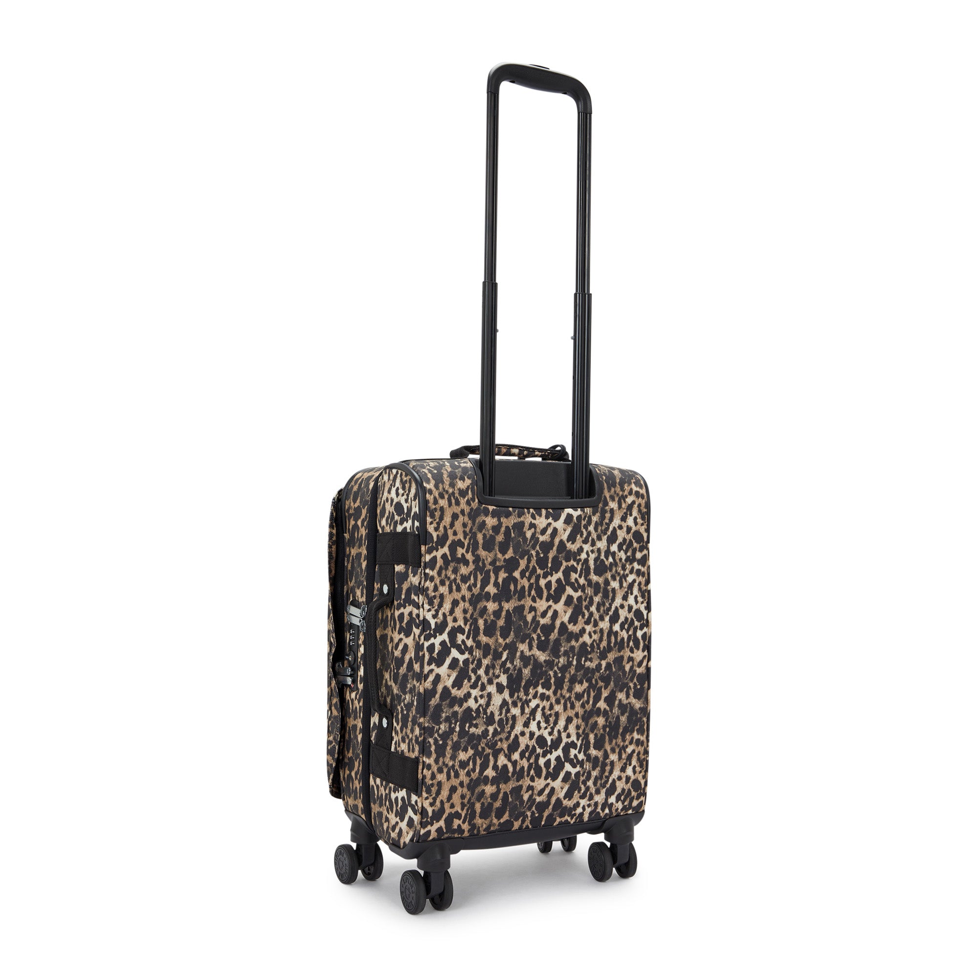 Wild Leopard