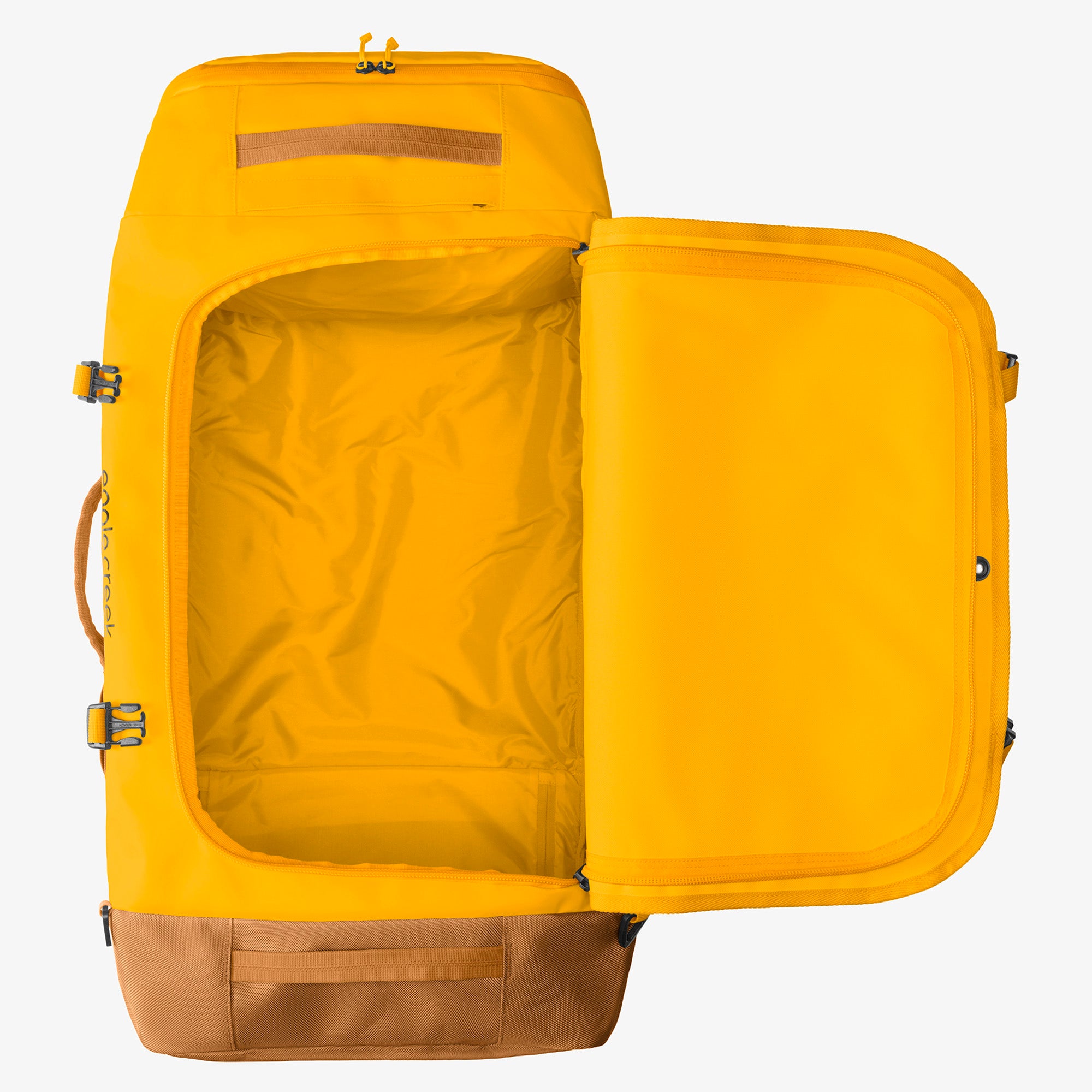 Citrus Orange