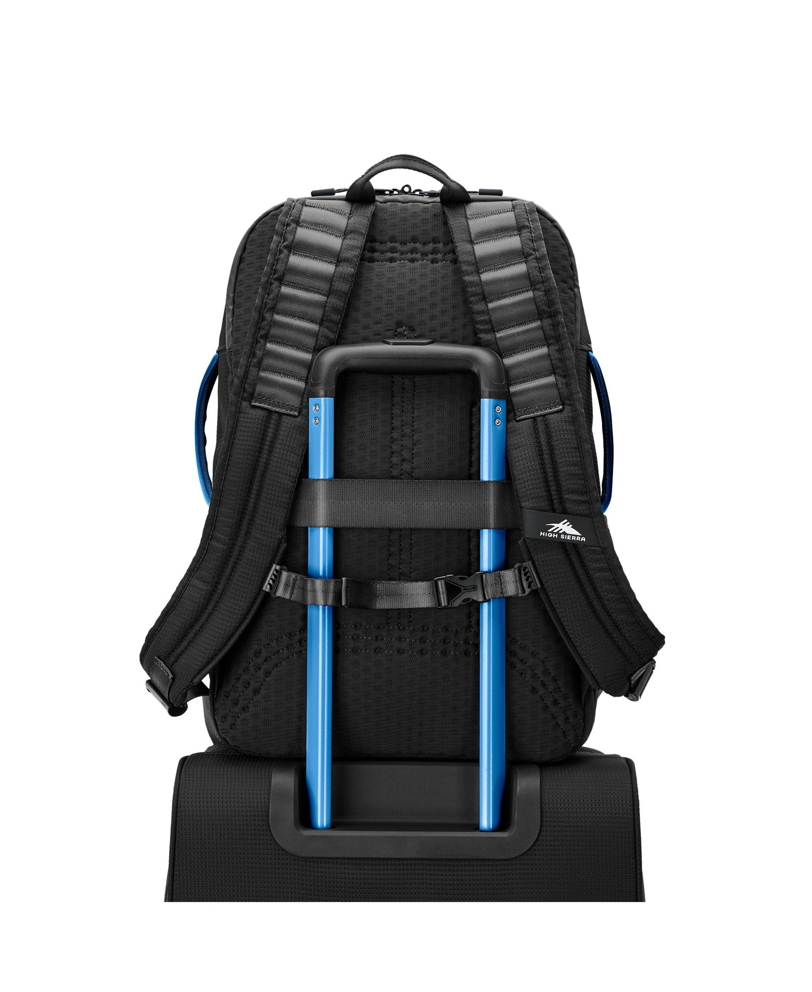 Black/Blue
