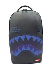 Shark Central Midnight Blue
