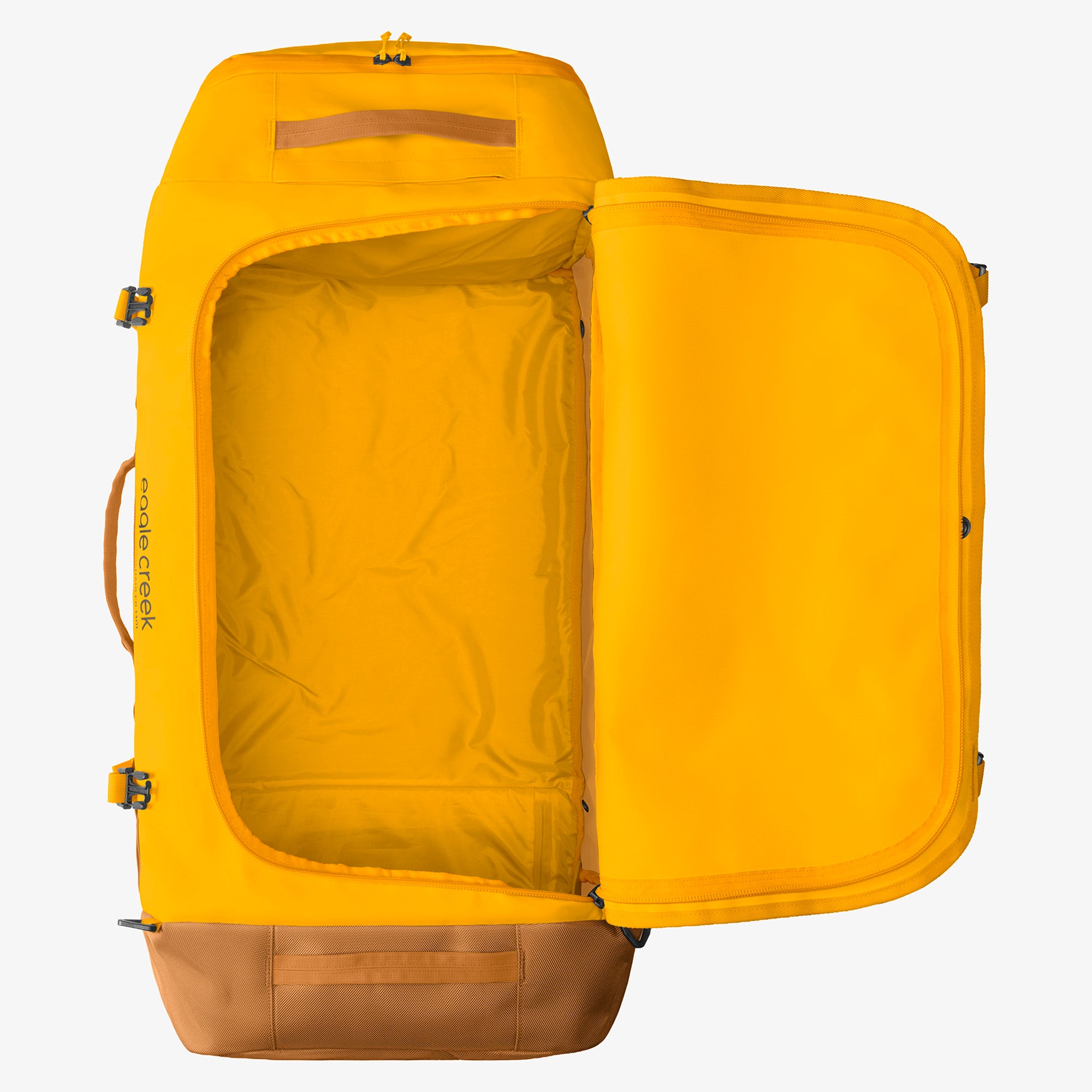 Citrus Orange
