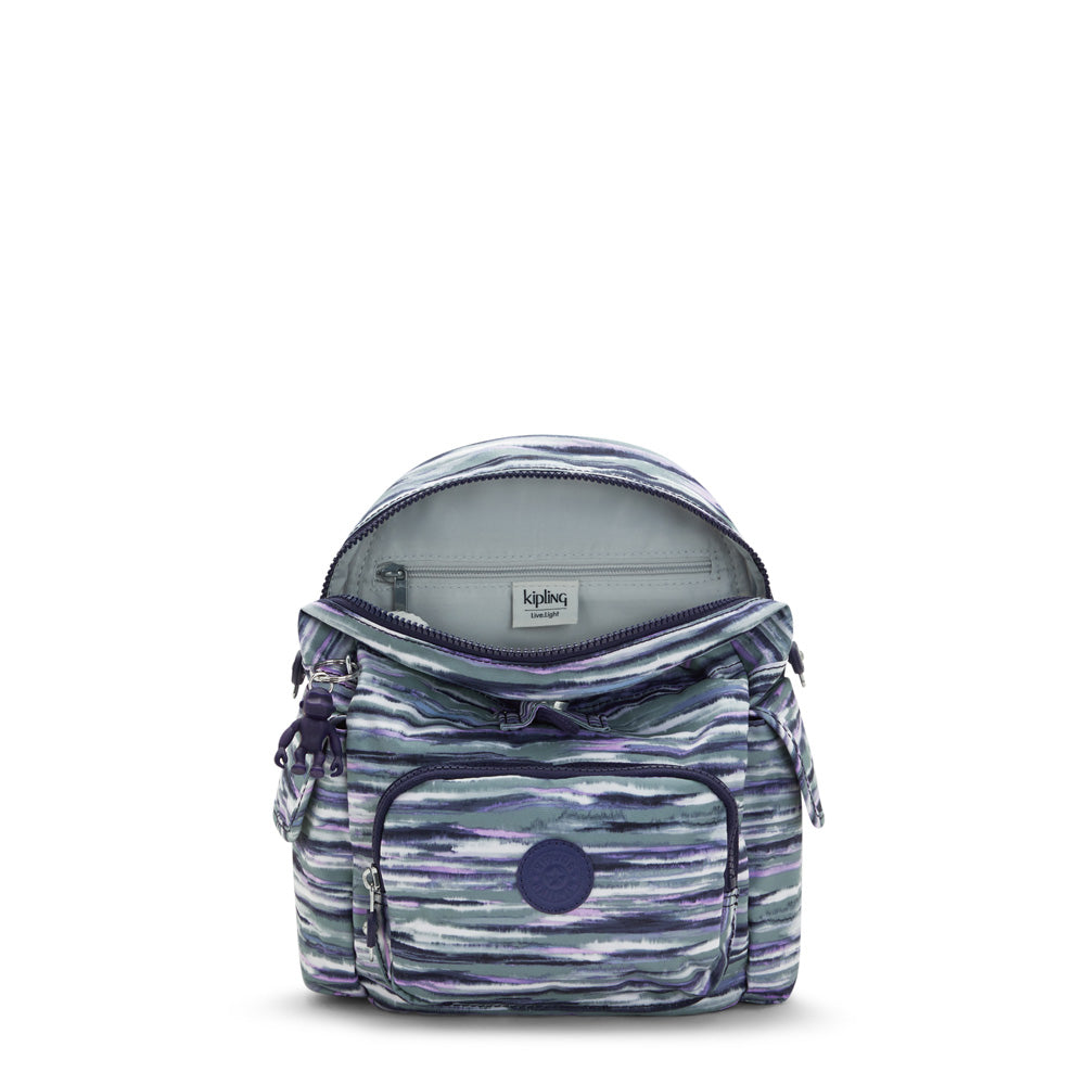 Brush Stripes Print