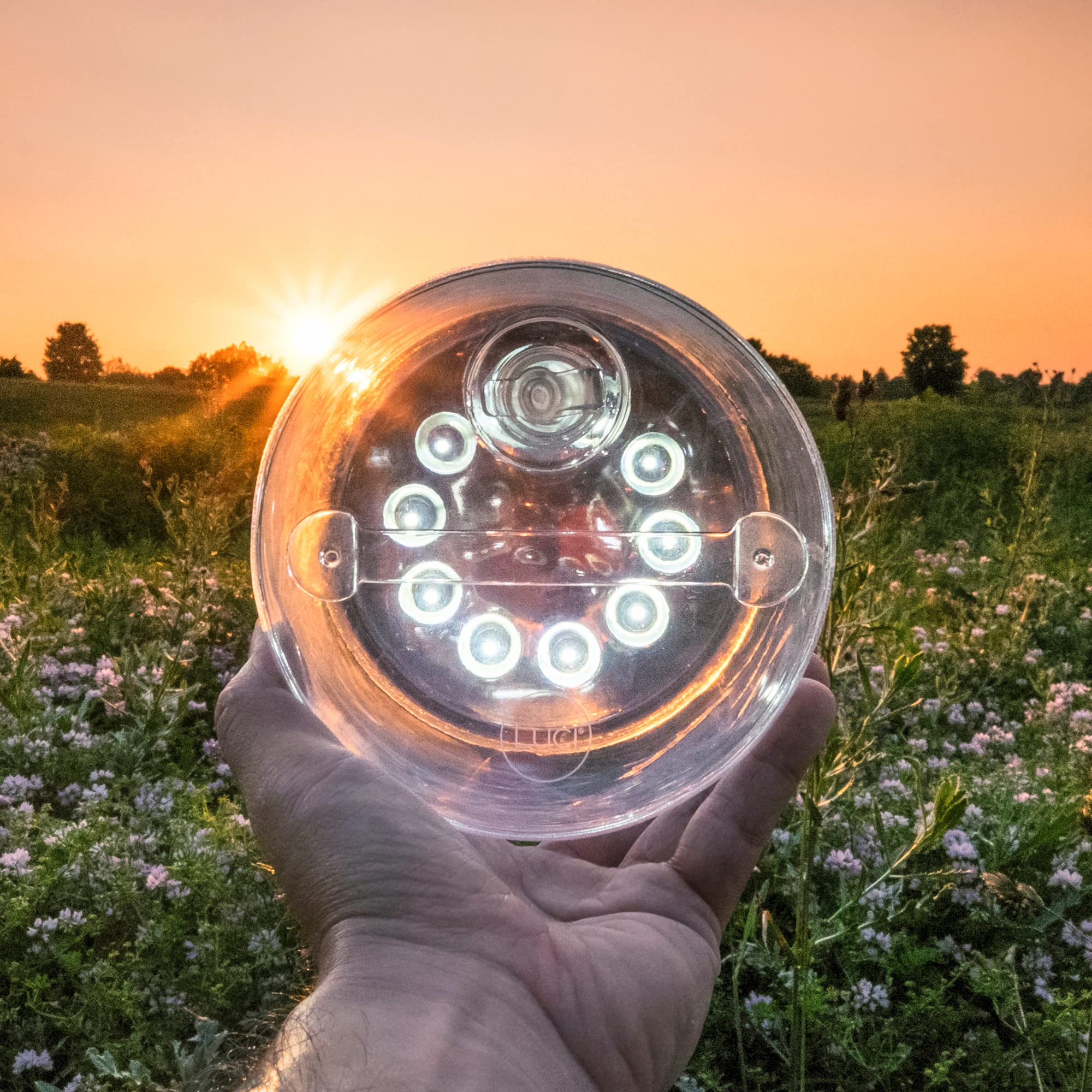 Luci Original: 65 Lumens, Usb-C Charging, Clear Finish + Warm White Leds