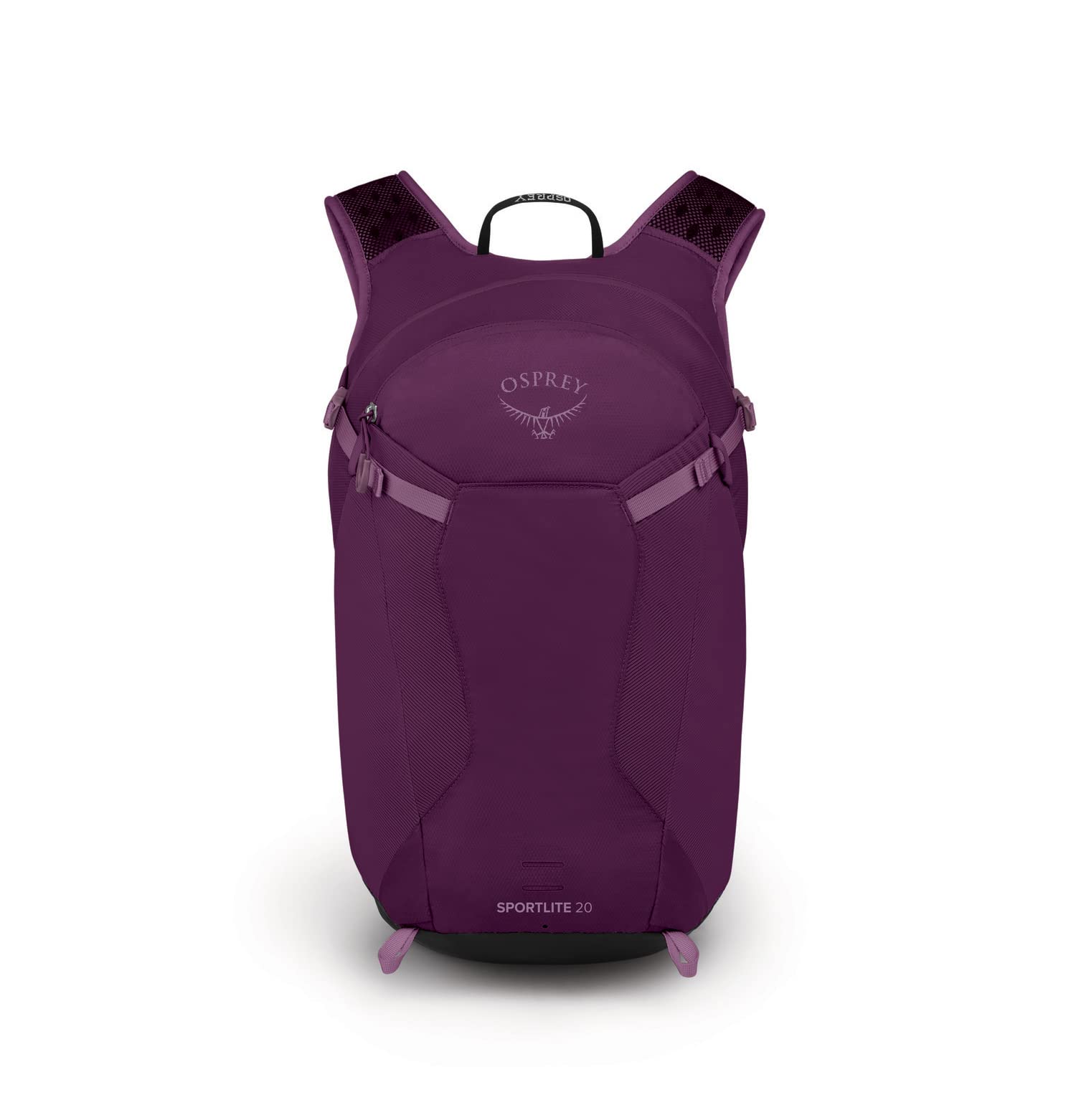 Aubergine Purple