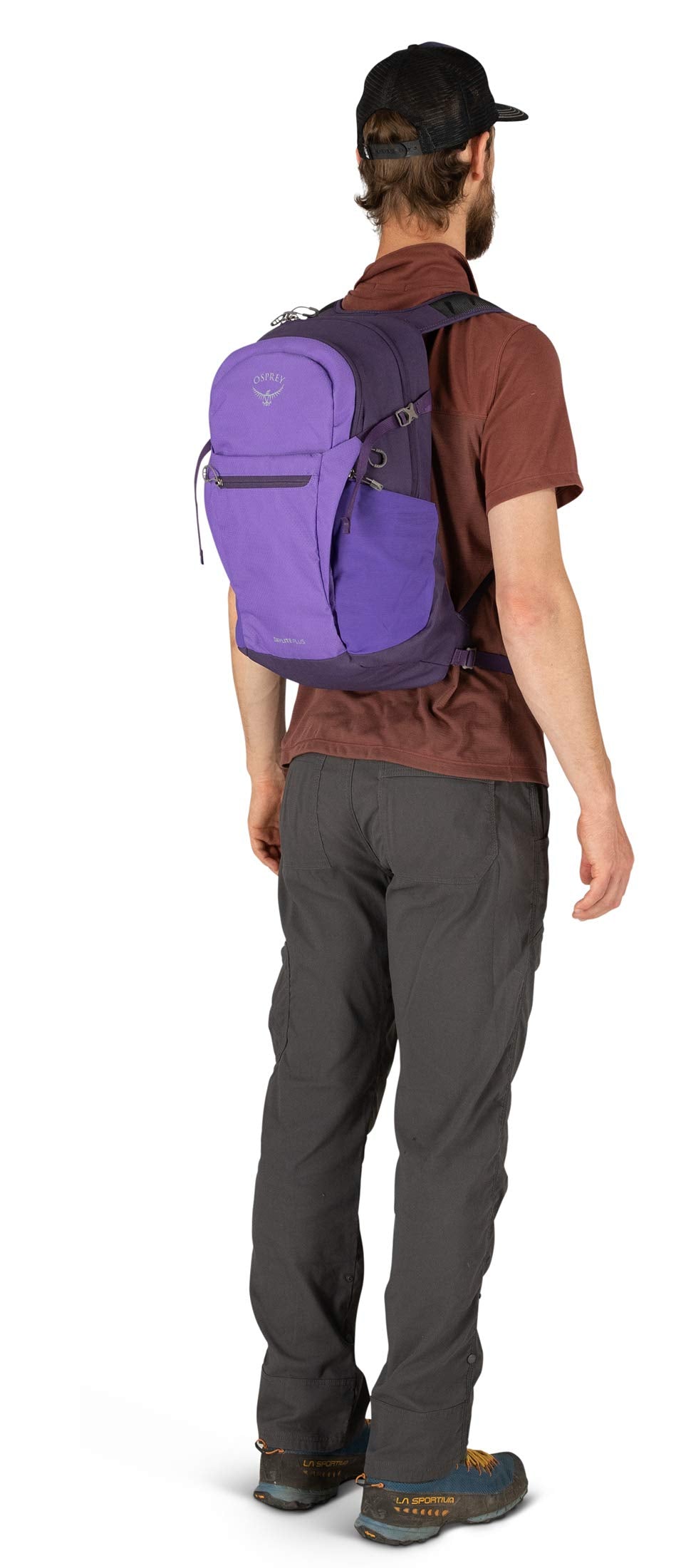 Dream Purple