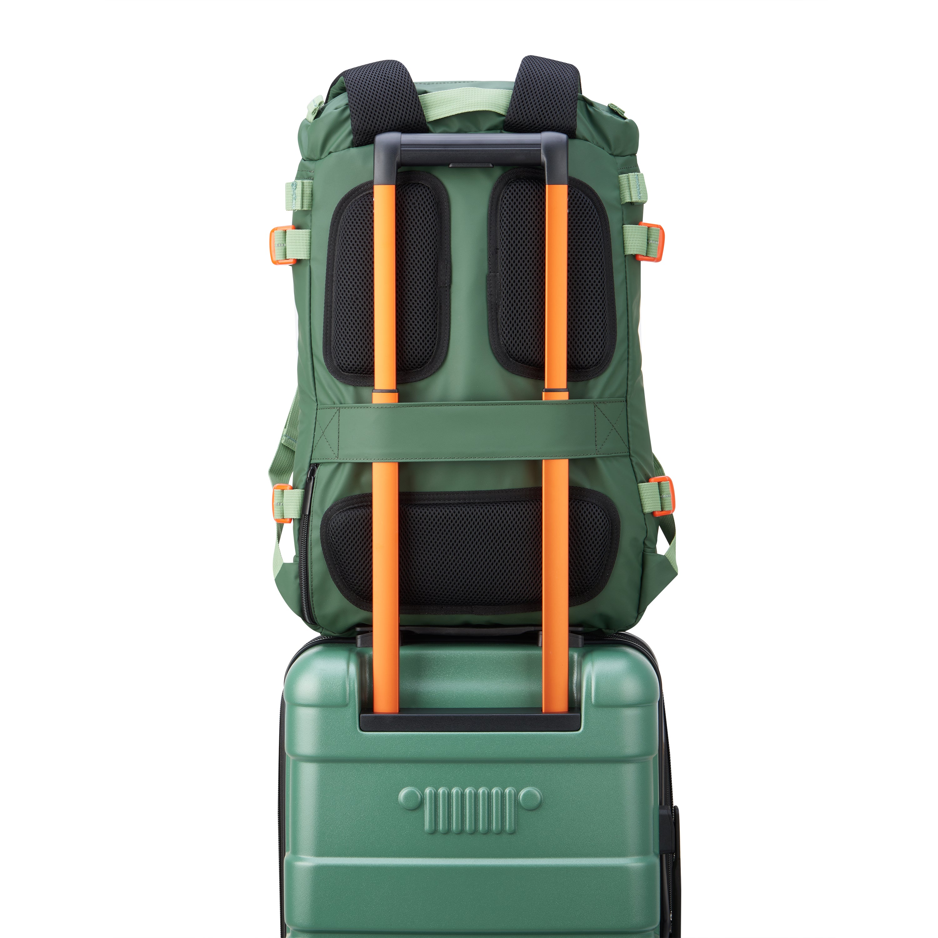 Elm Green