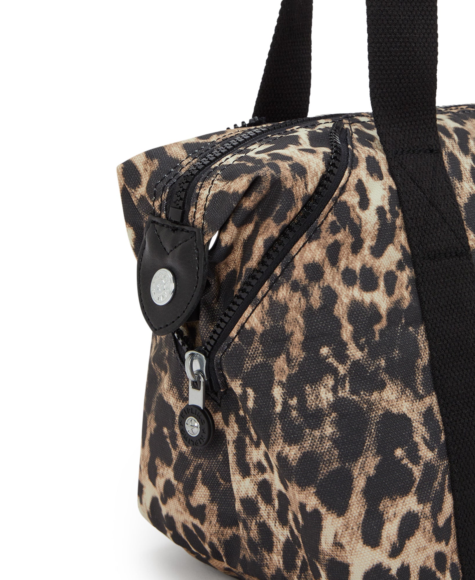 Wild Leopard