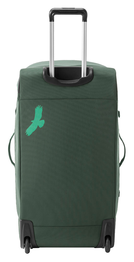 Duck Green