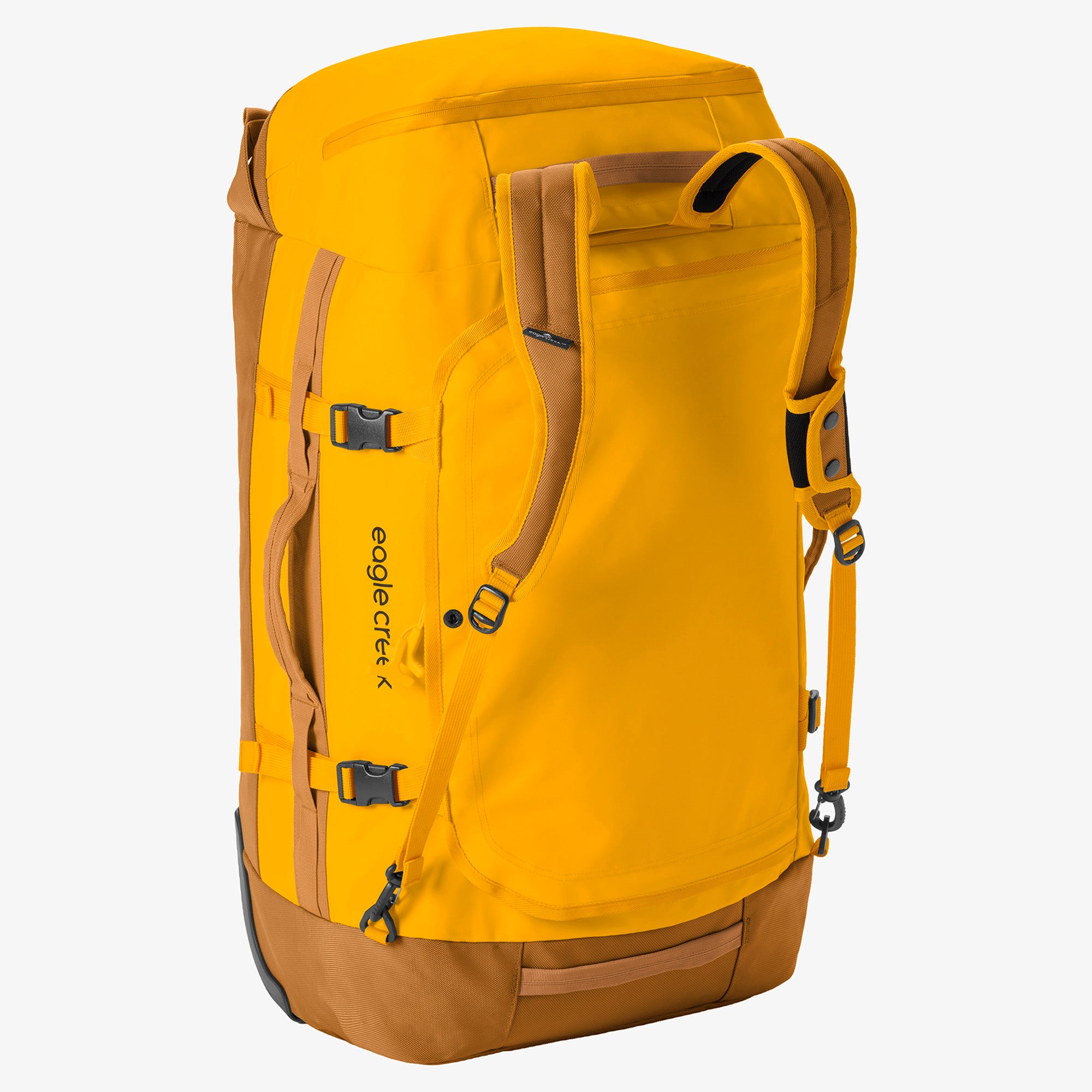 Citrus Orange