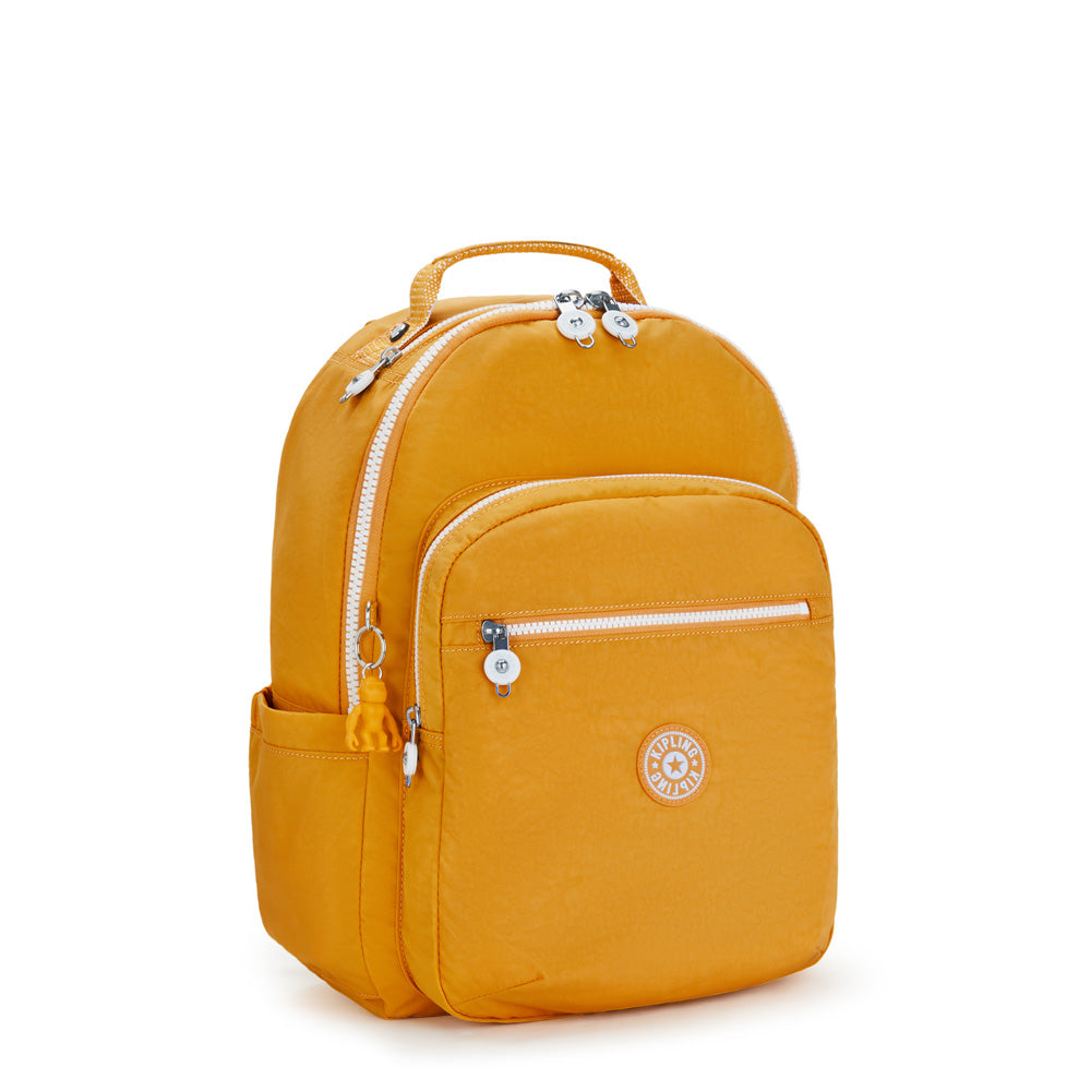 Rapid Yellow