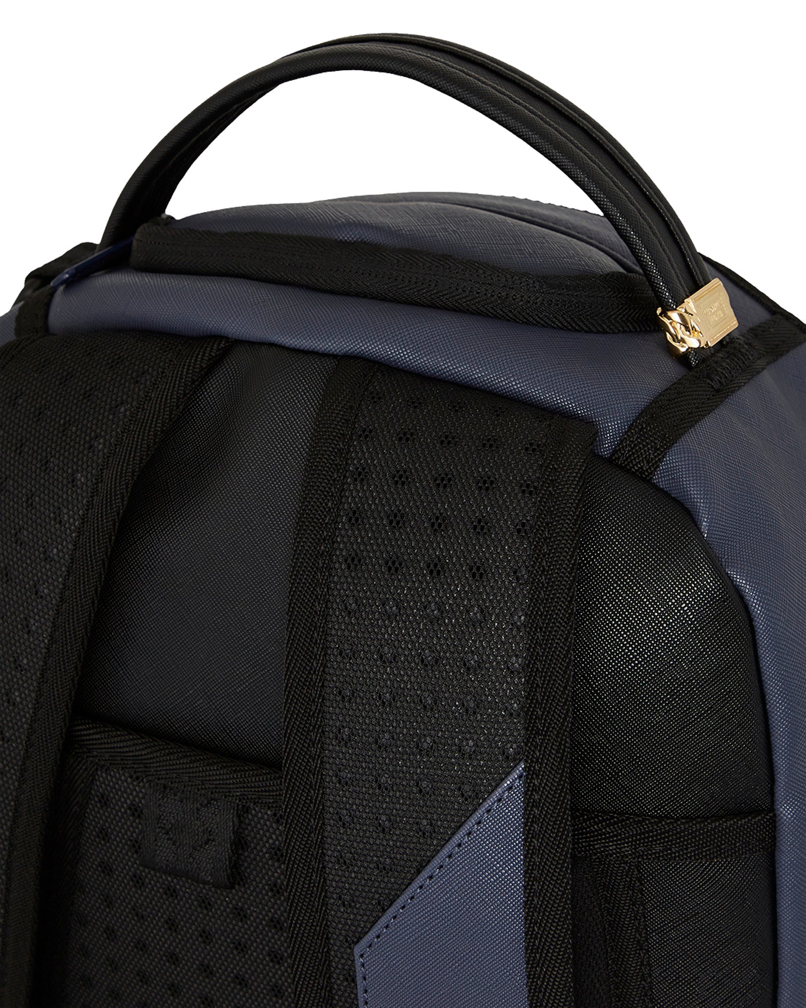 Shark Central Midnight Blue