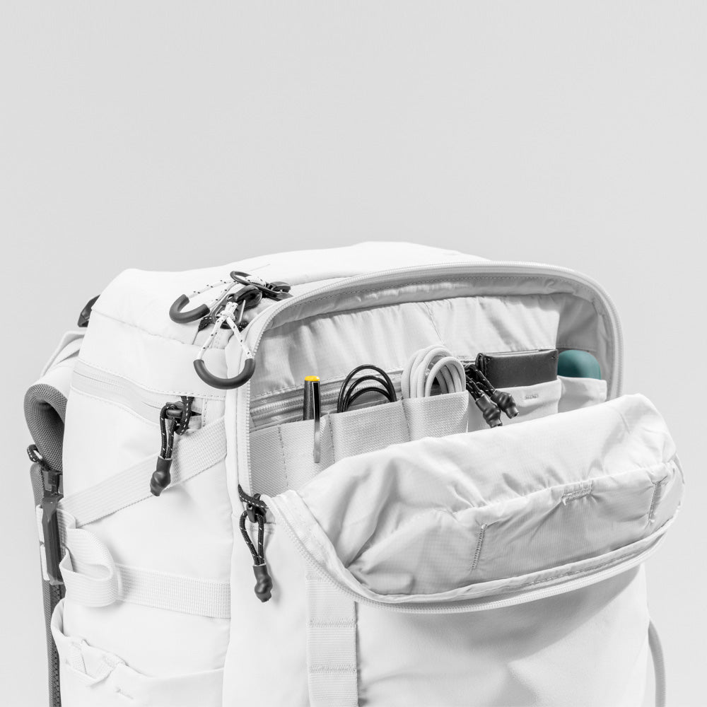 Arctic White