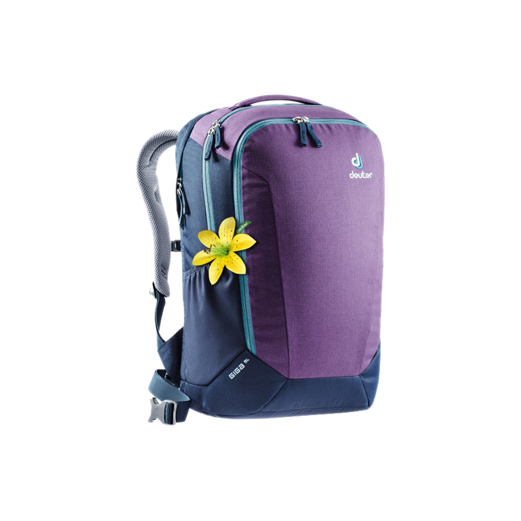 Plum/Navy