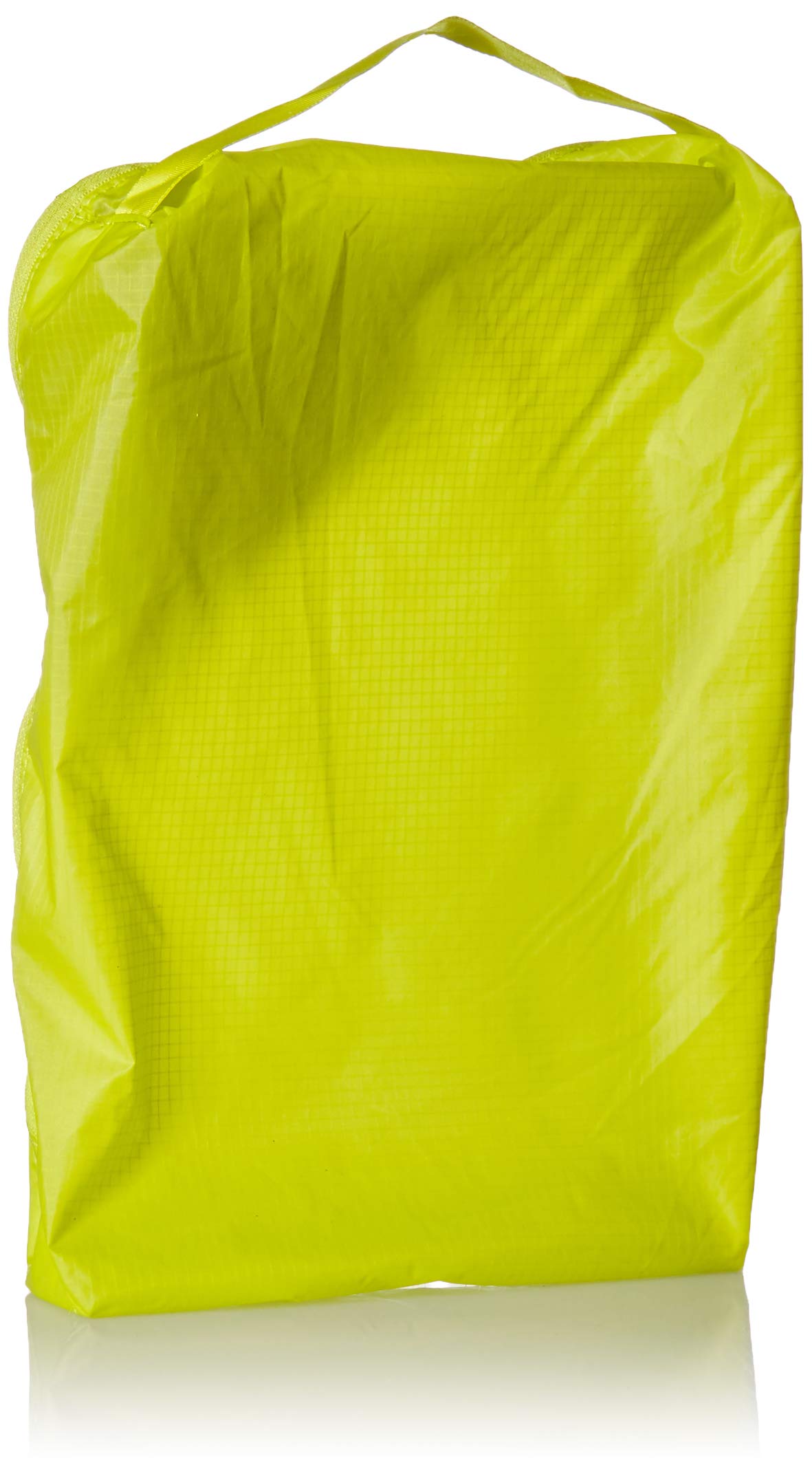 Electric Lime