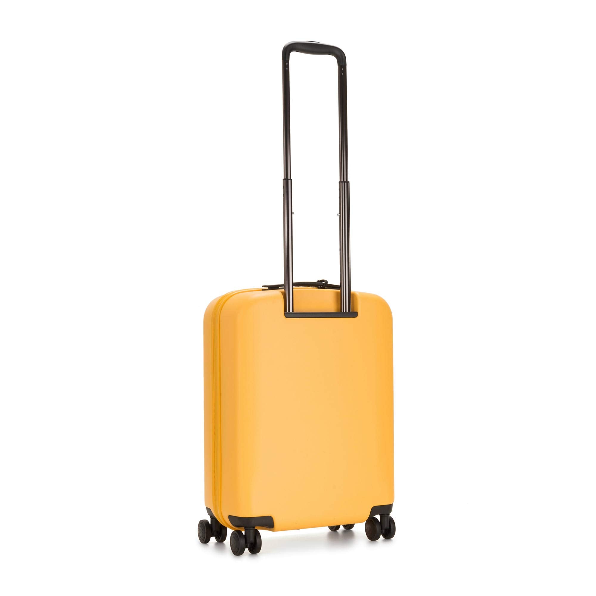 Vivid Yellow Nc