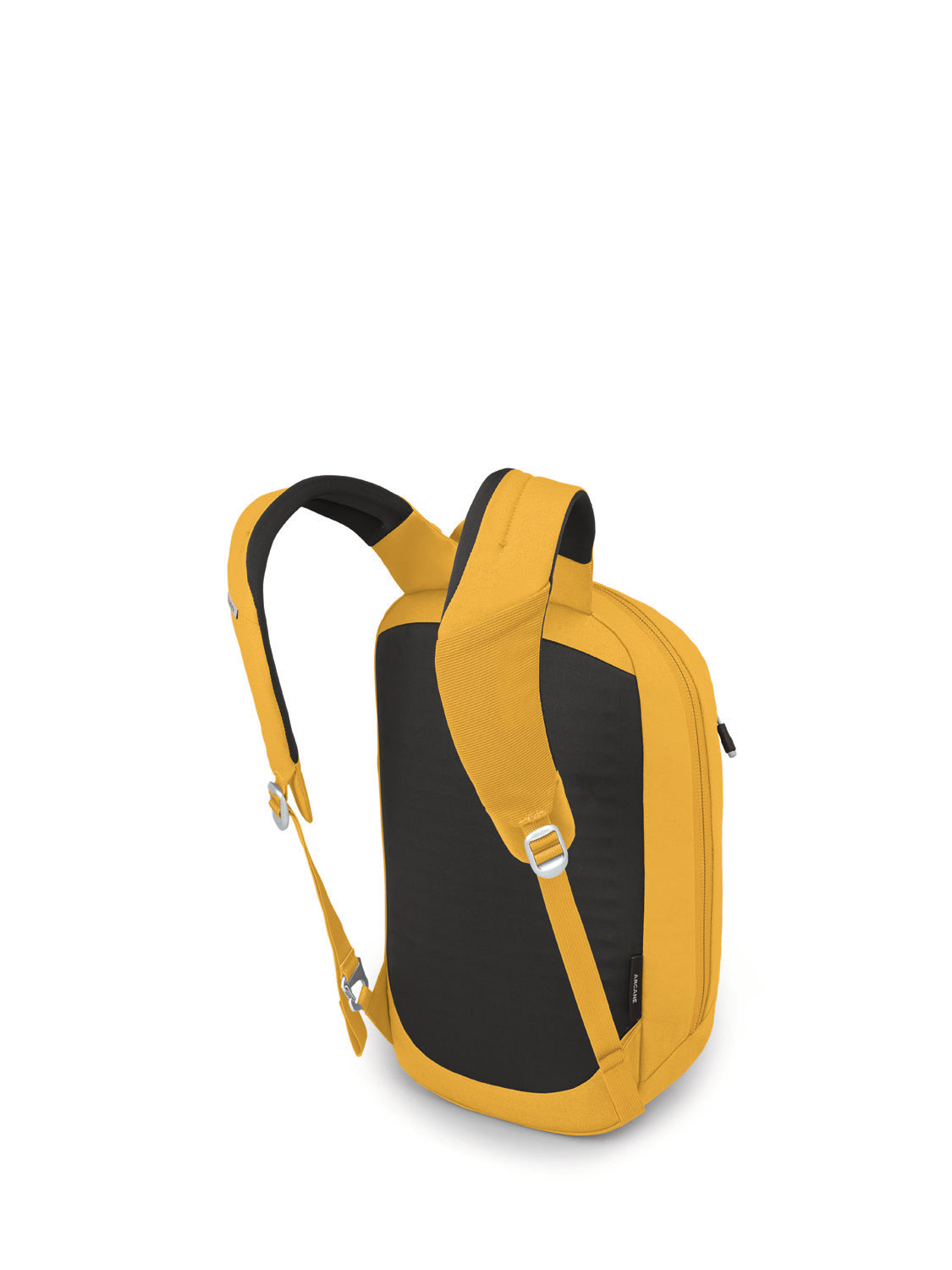 Honeybee Yellow