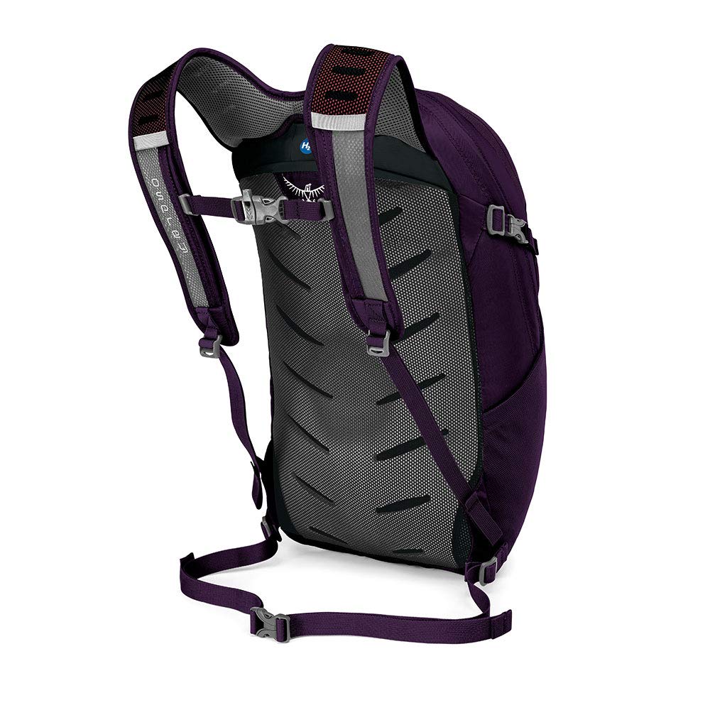 Amulet Purple