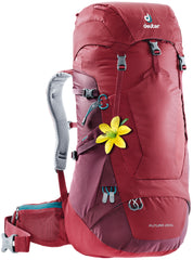 Cranberry/Maroon