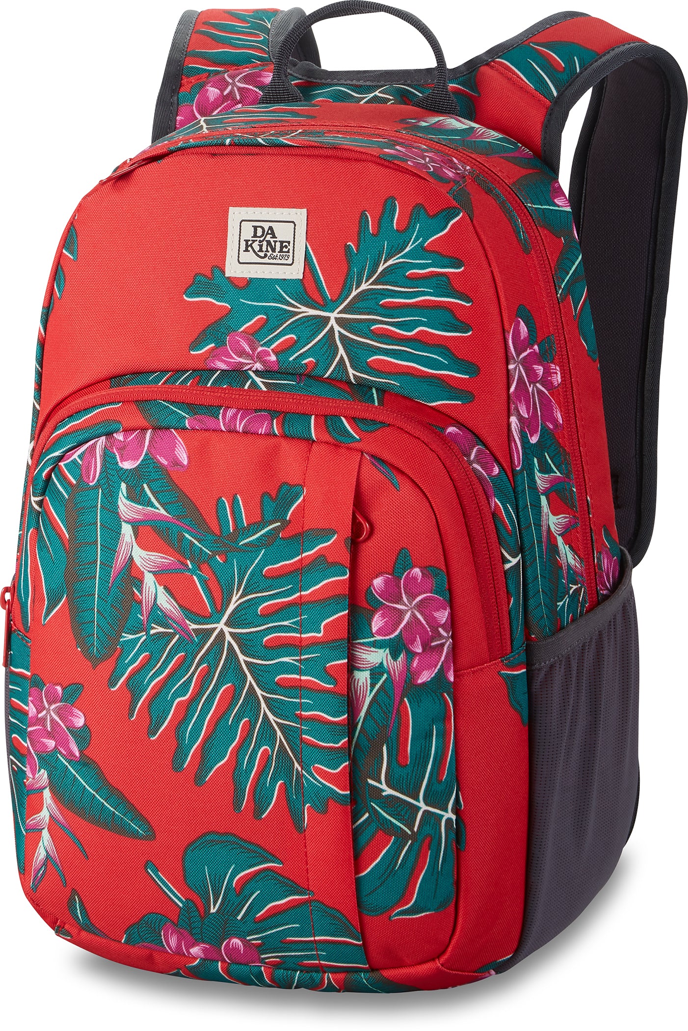 Red Jungle Palm