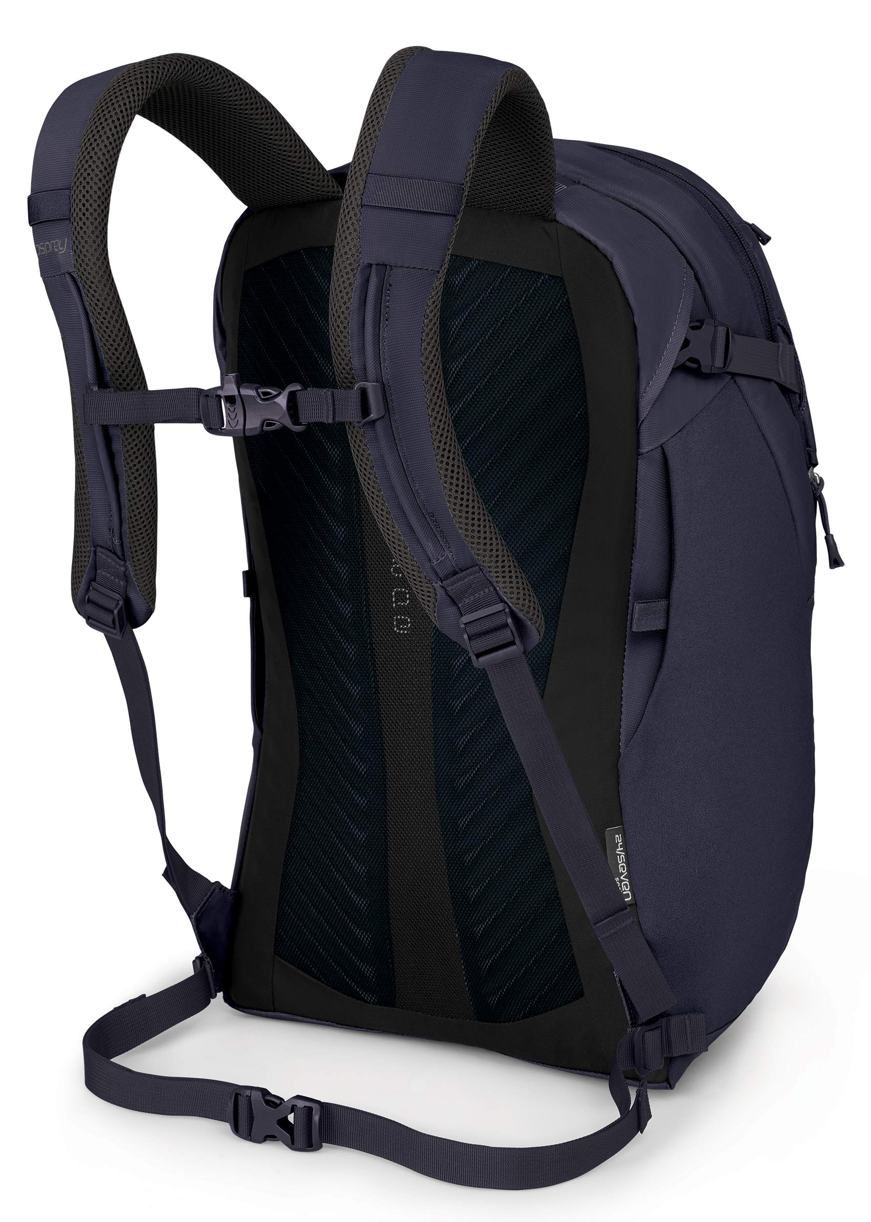 Juneberry Purple