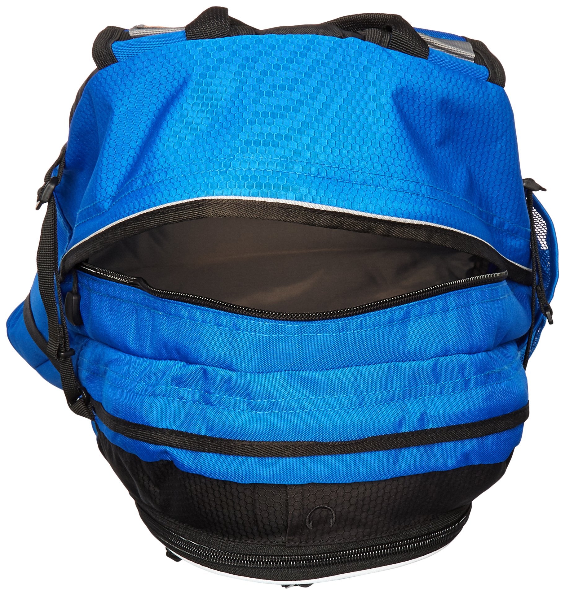 Vivid Blue/Black