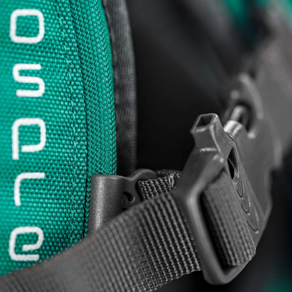 Rainforest Green