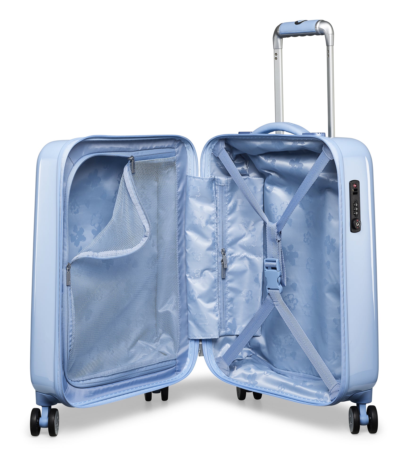 Blue Landscape / Carry-On