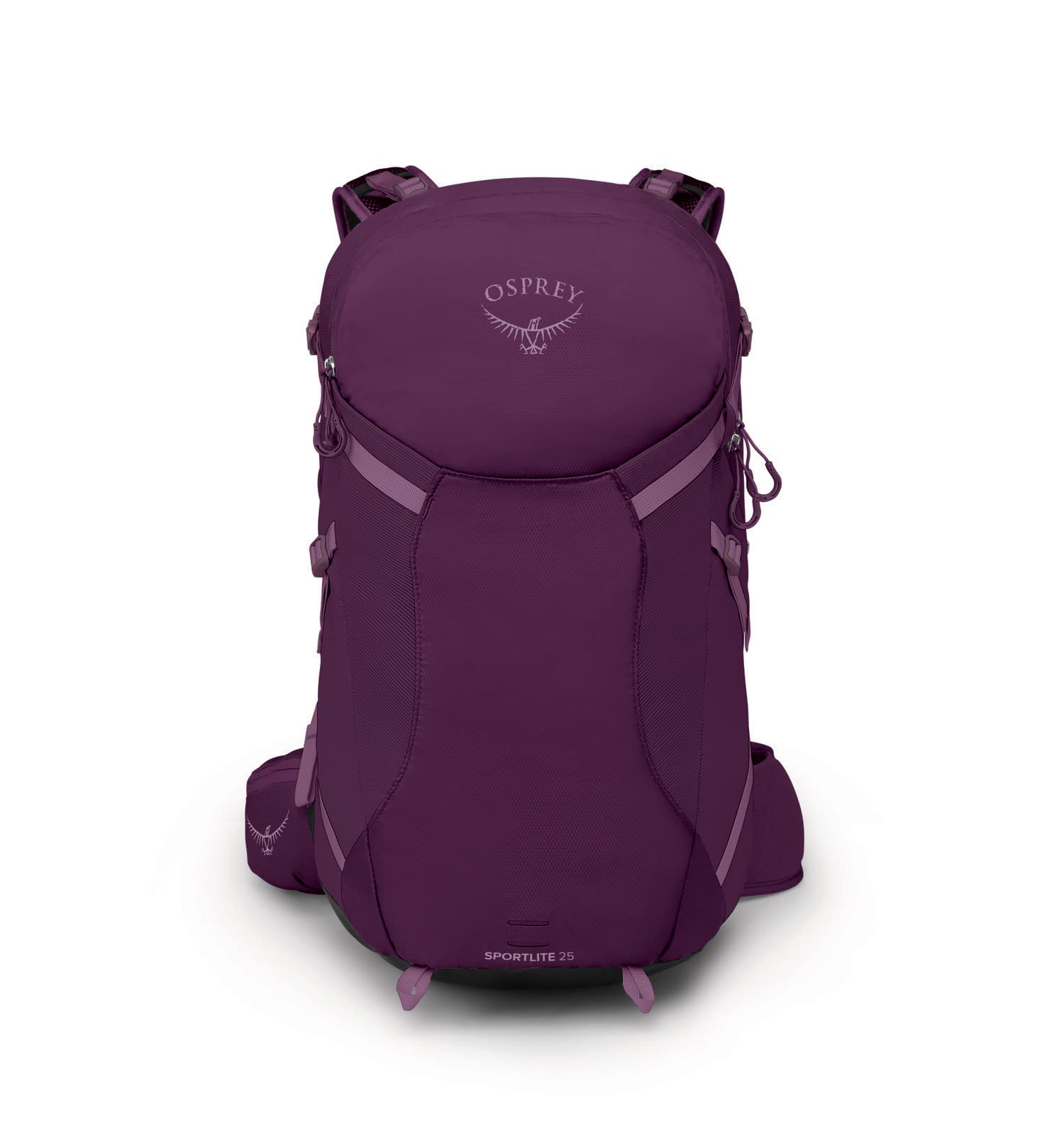 Aubergine Purple