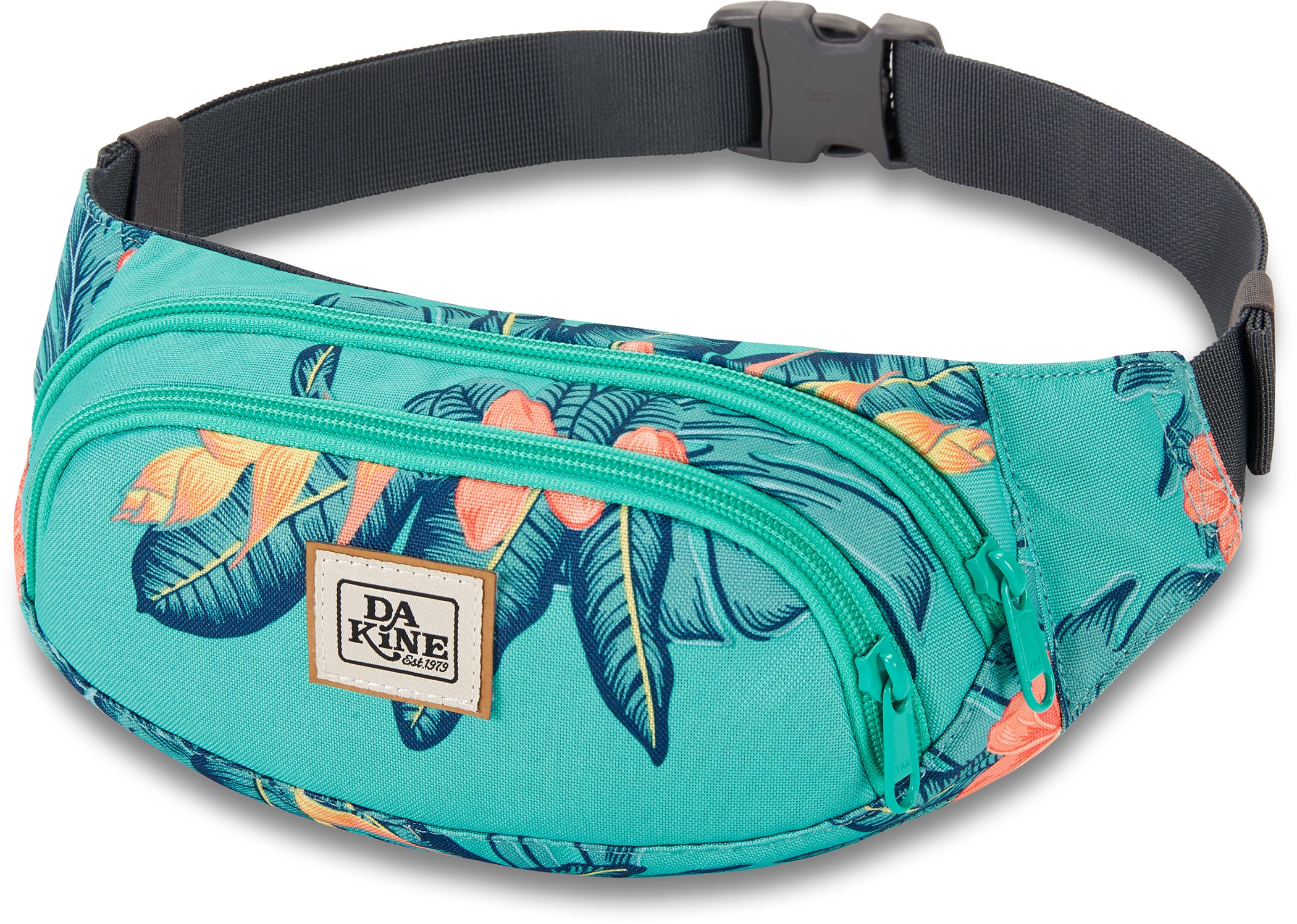 Turquoise Jungle Palm