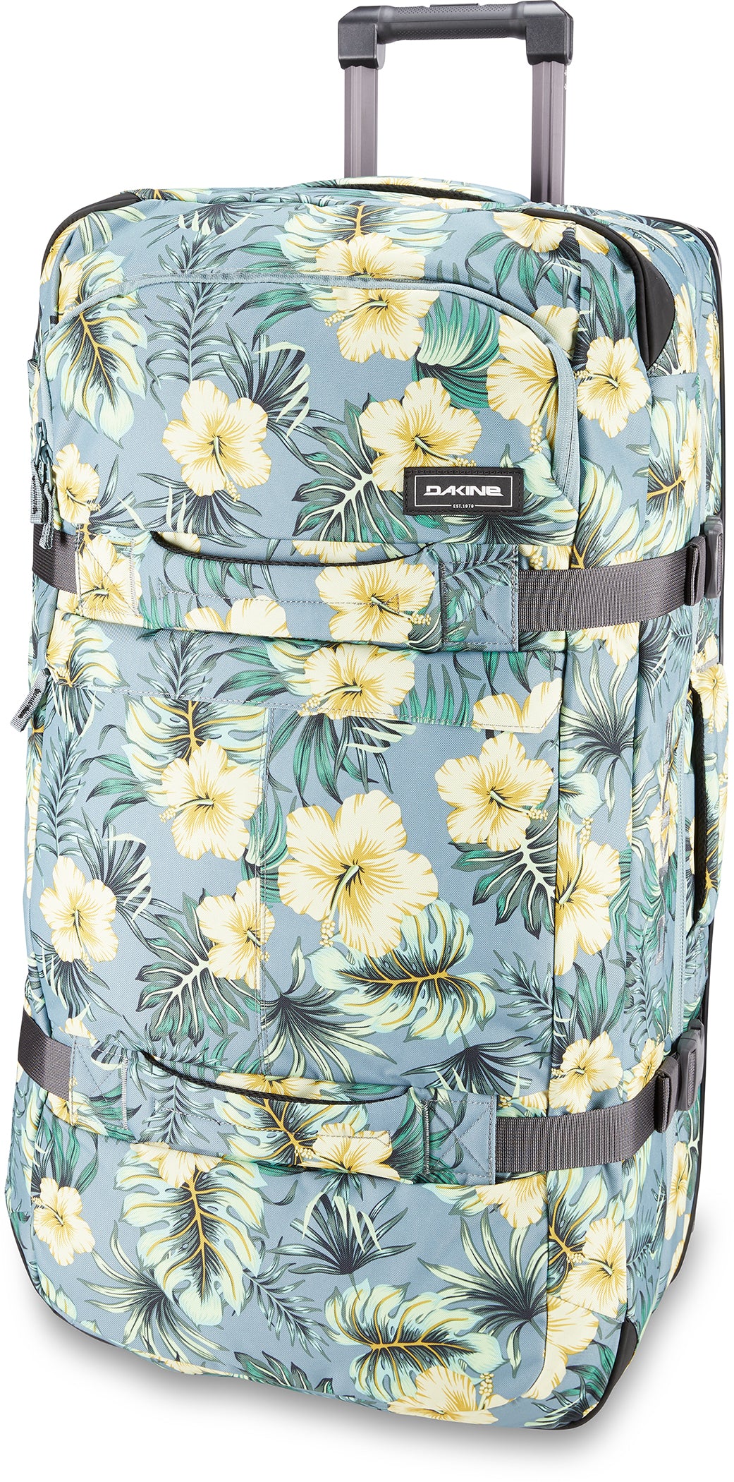 Hibiscus Trop Lead