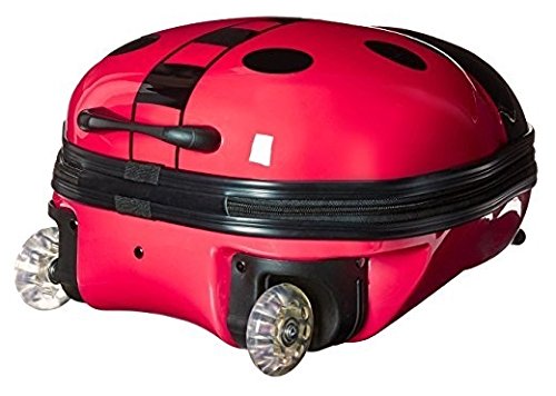 Lady Bug