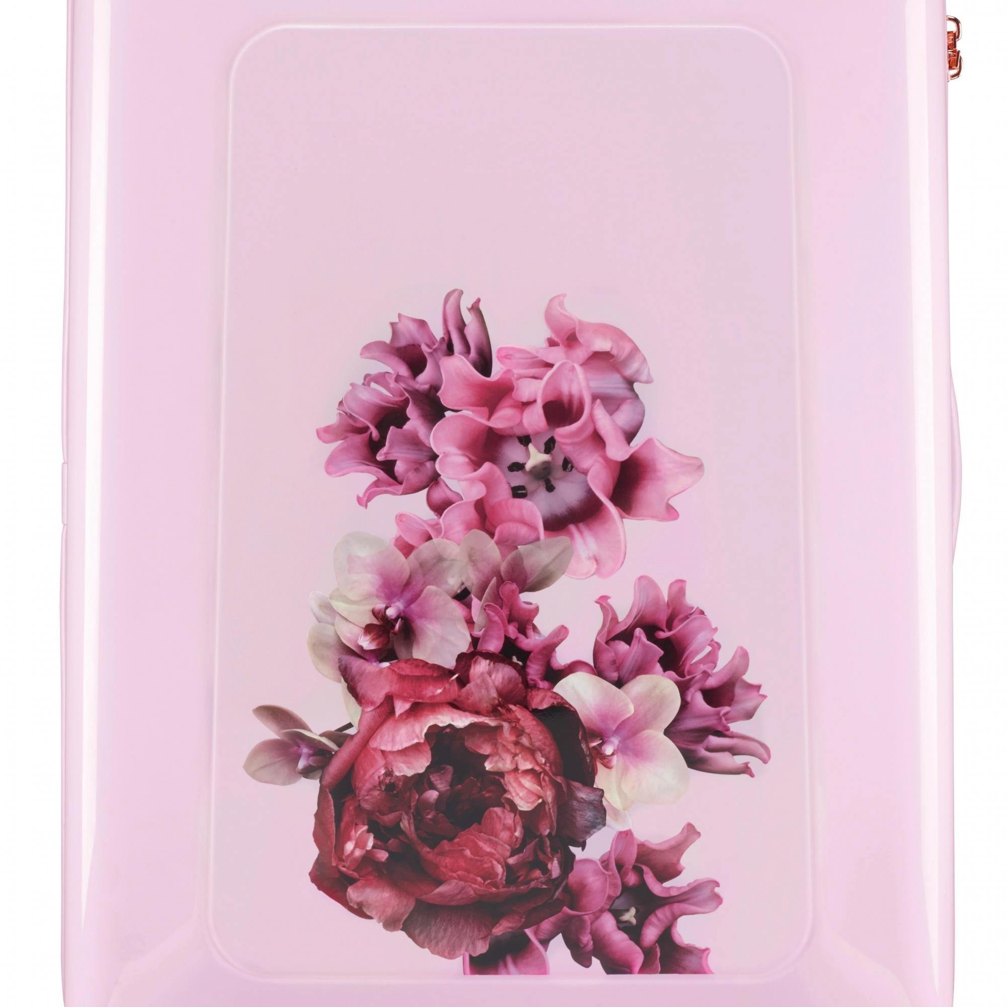 Splendor Pink