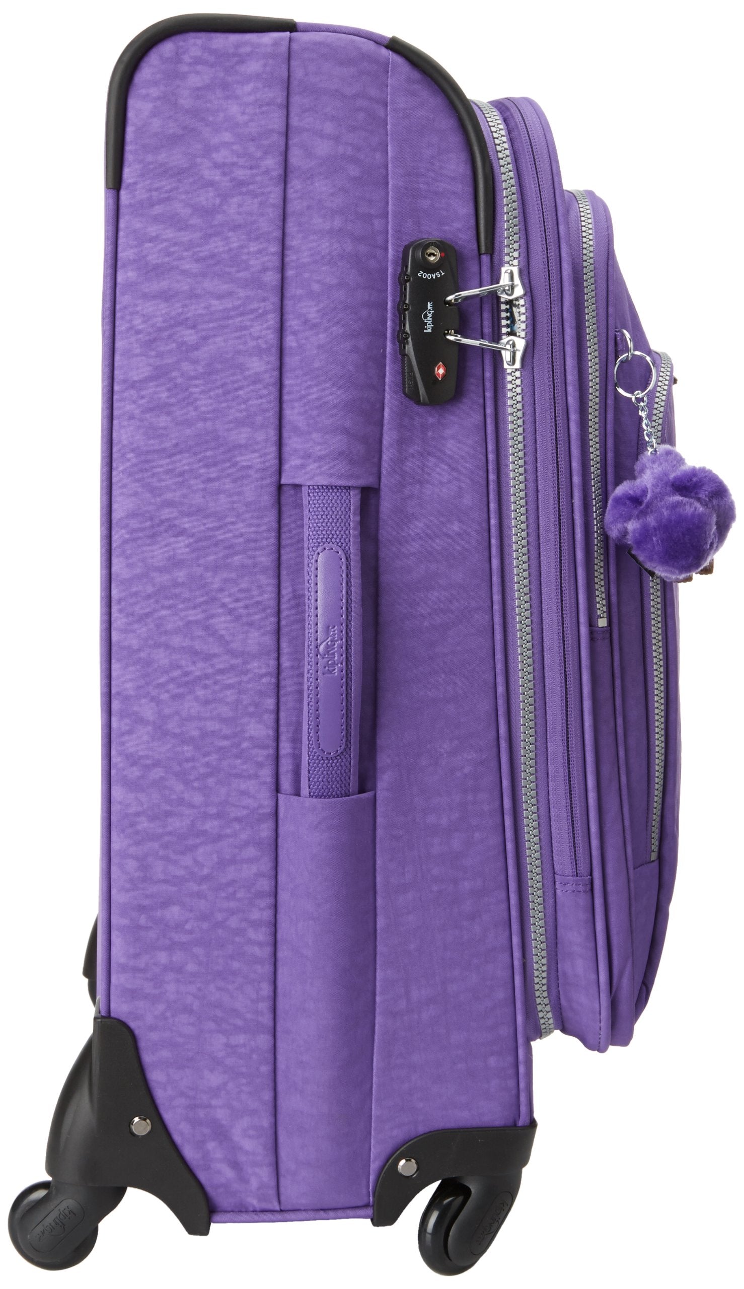 Vivid Purple