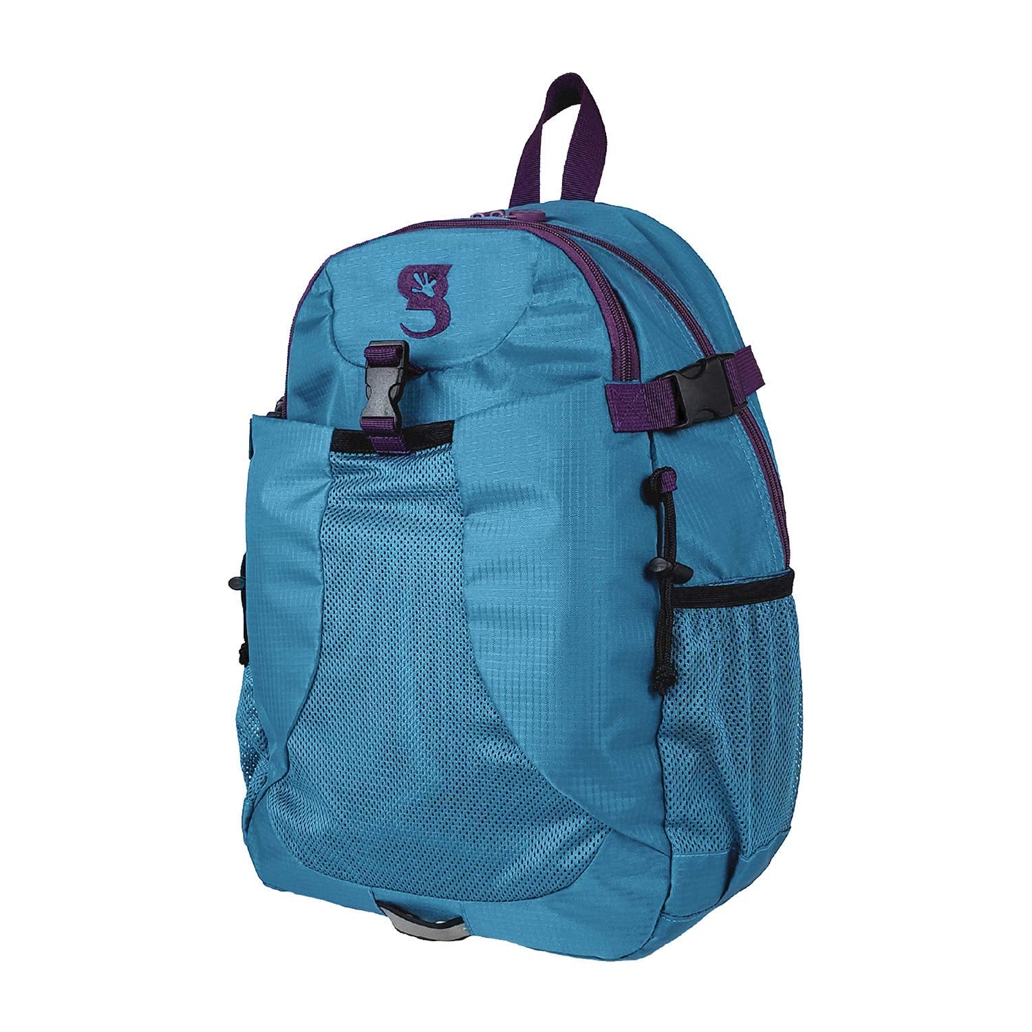 Teal/Purple