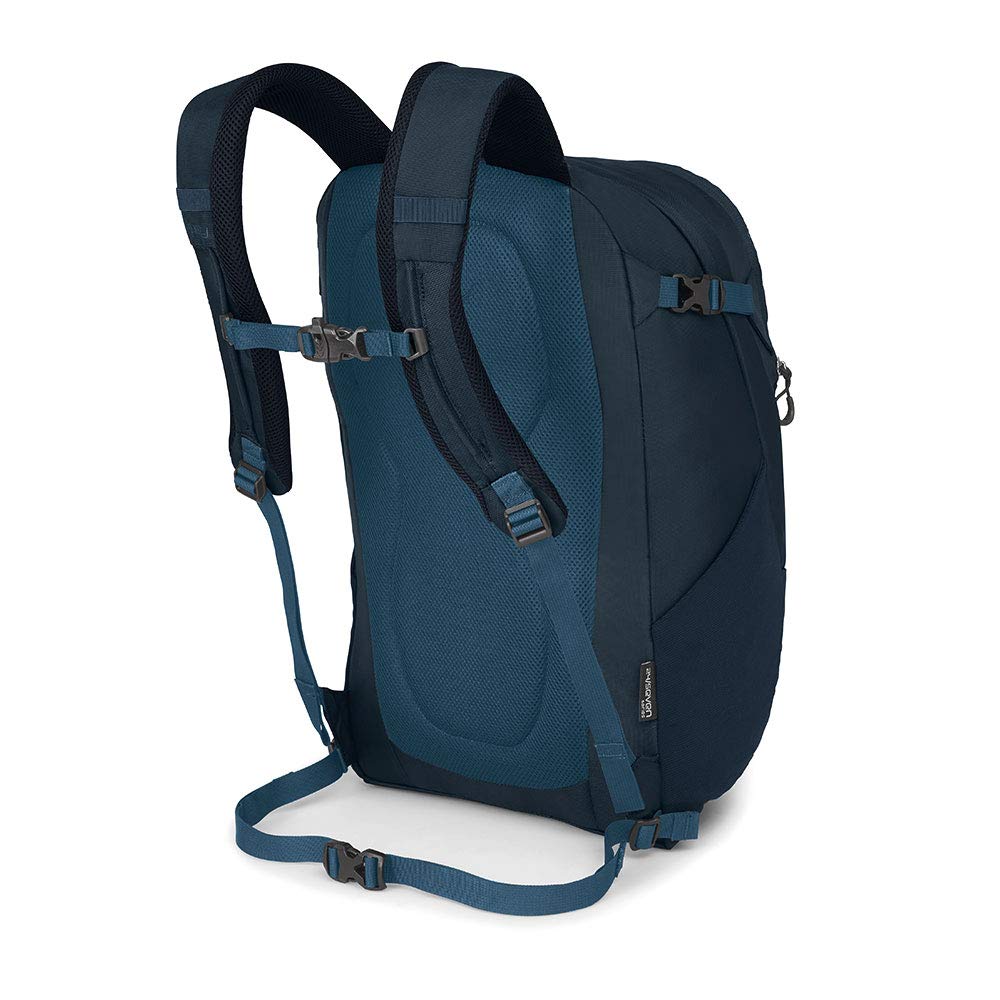 Kraken Blue