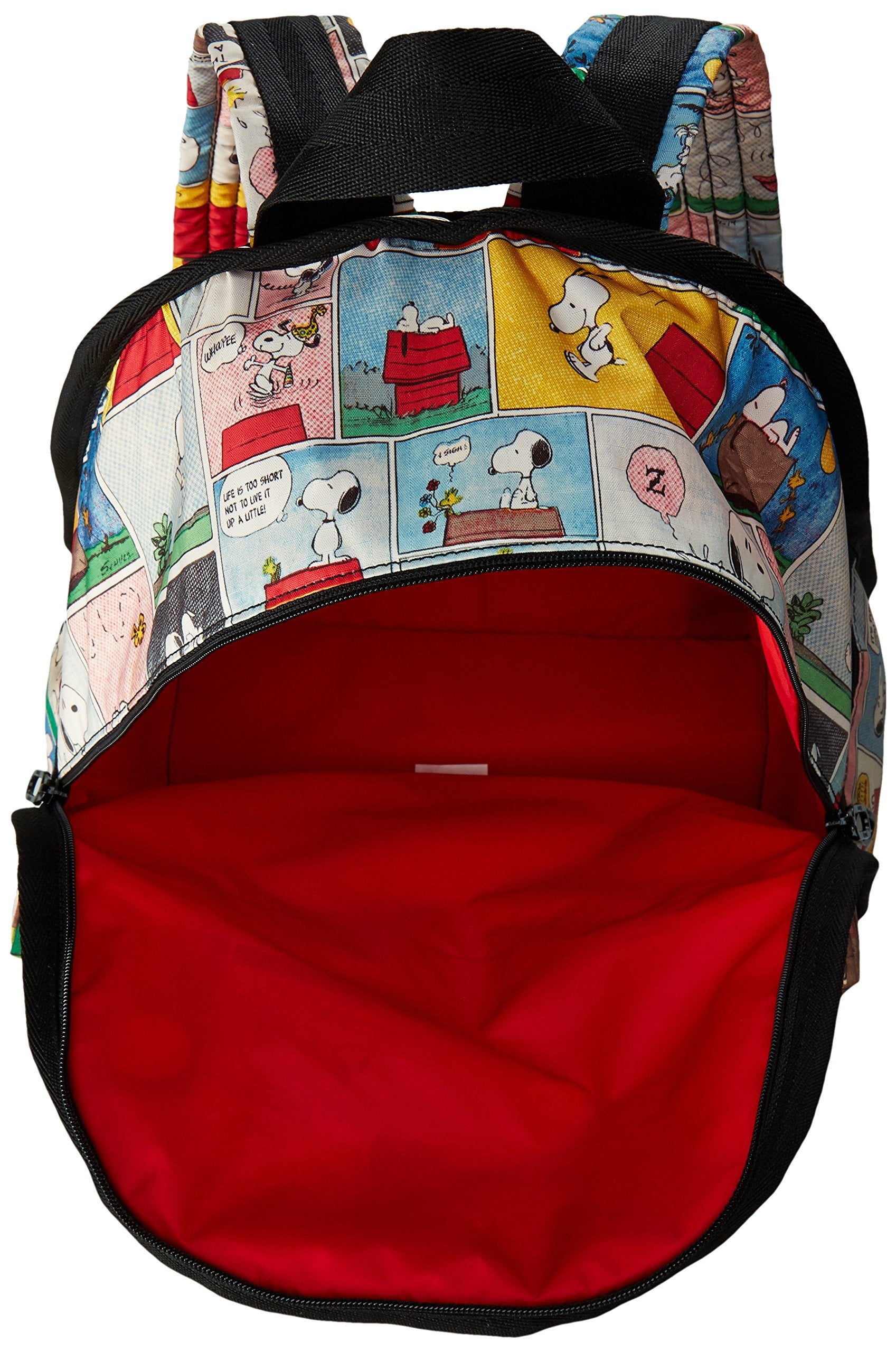 Snoopy Patchwork