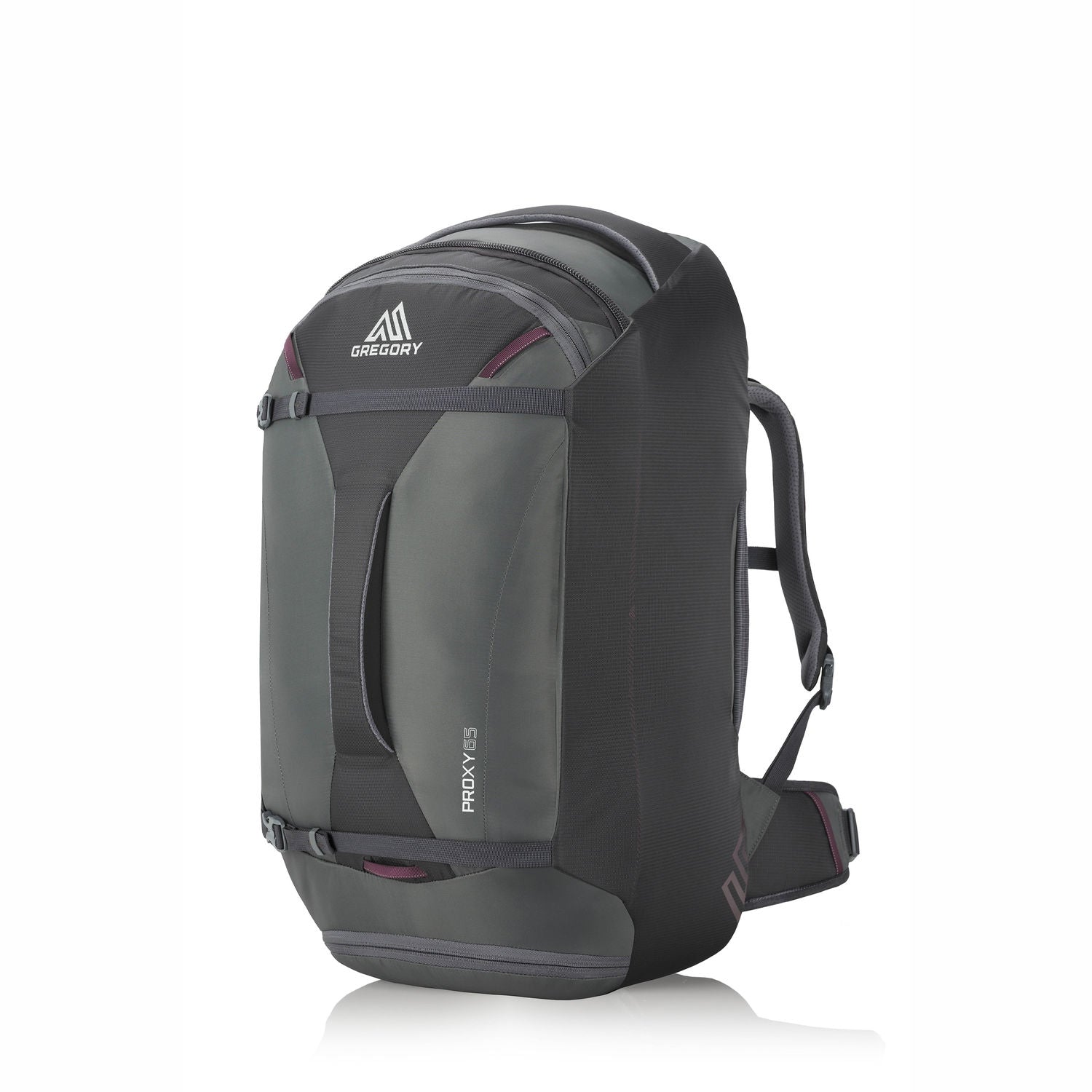 Gregory Adventure Travel Proxy 65 Pack