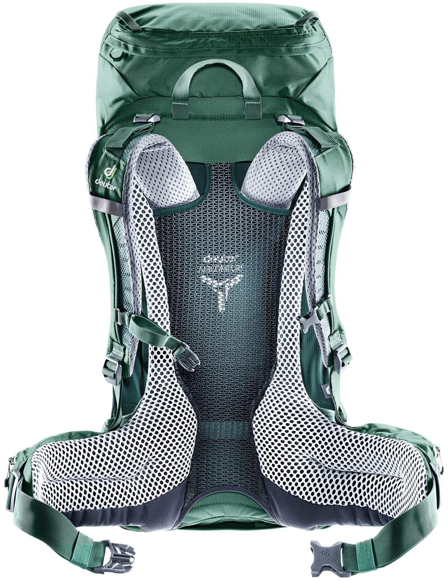 Sea Green/Forest