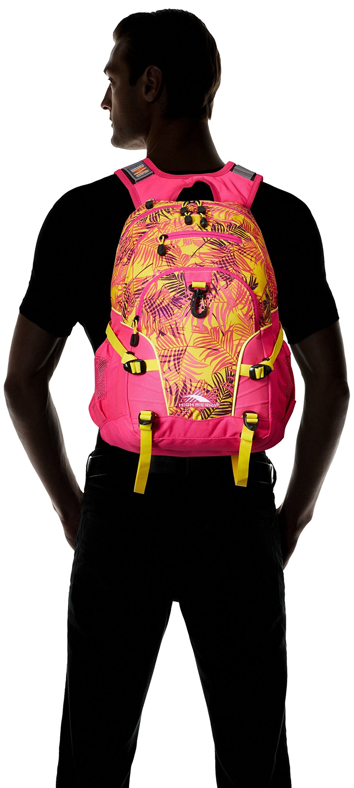 Paradise/Flamingo/Sunburst