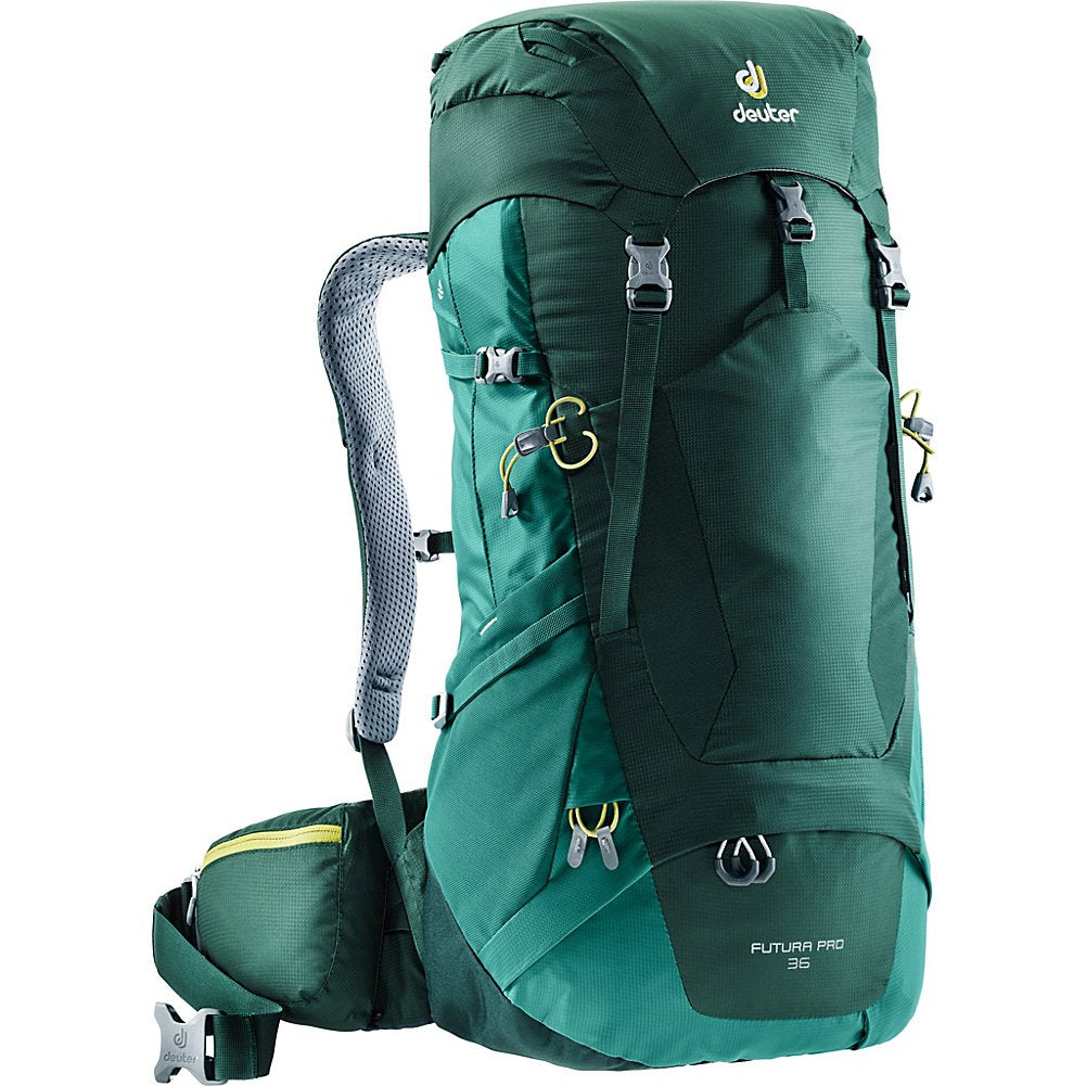 Forest/Alpine Green